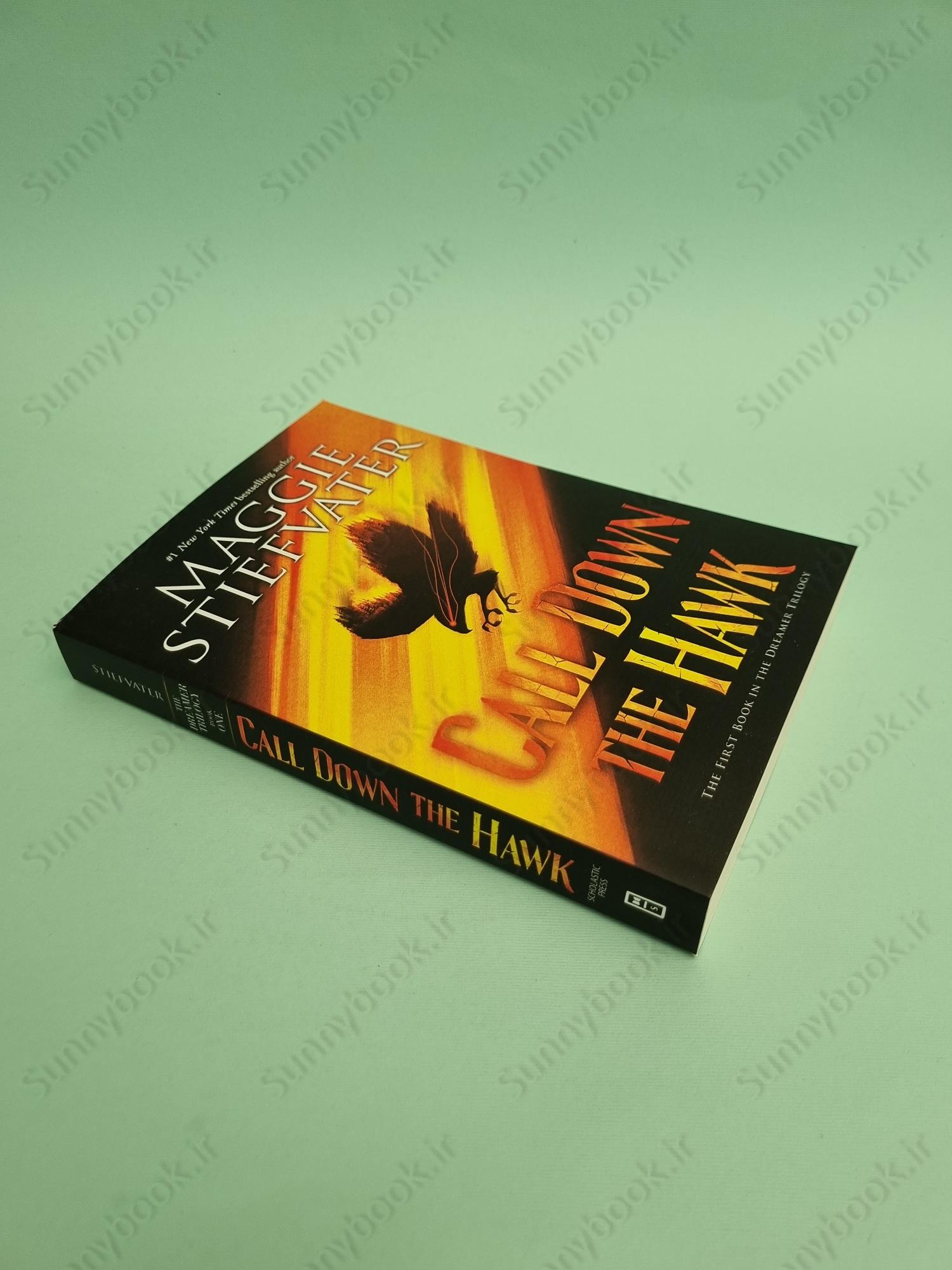 Call Down the Hawk (Dreamer 1) main 1 3