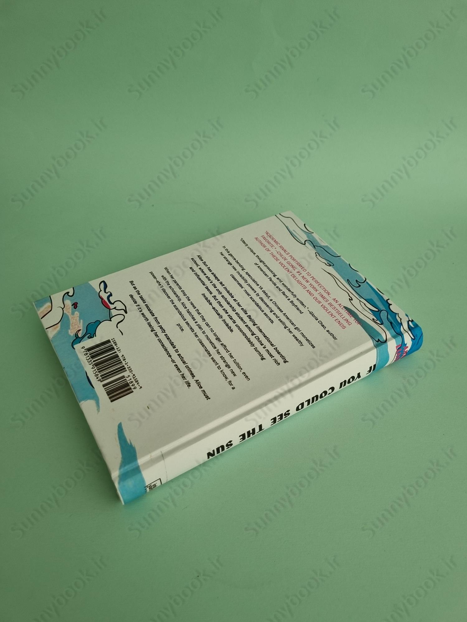 If You Could See the Sun main 1 4