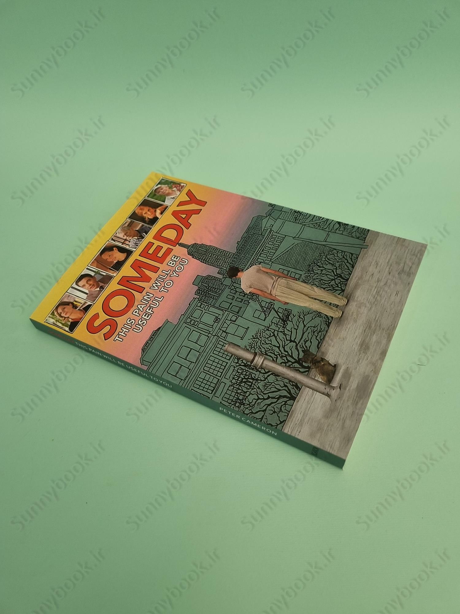 Someday This Pain Will Be Useful to You main 1 3