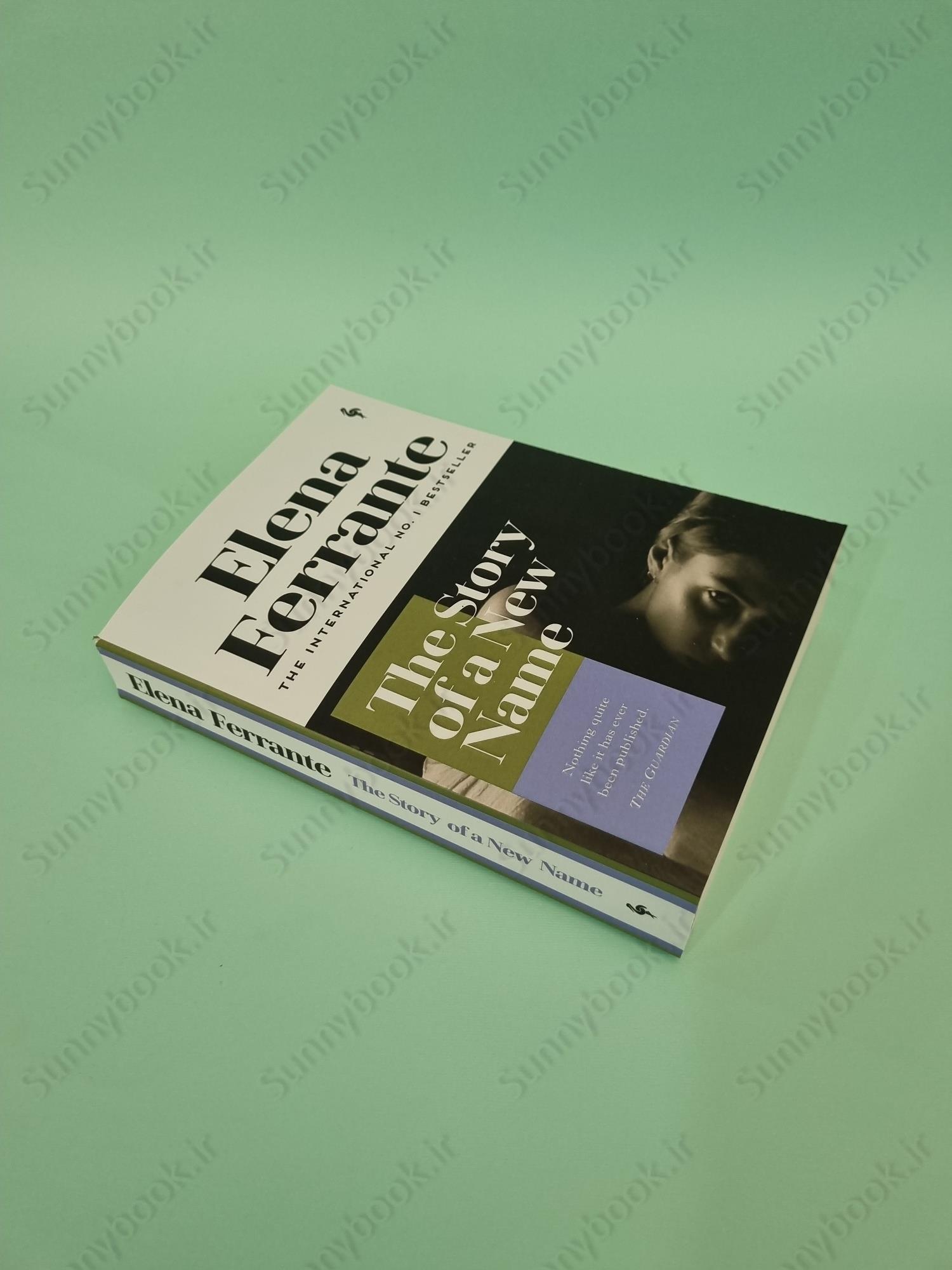 The Story of a New Name : My Brilliant Friend Book 2 main 1 3