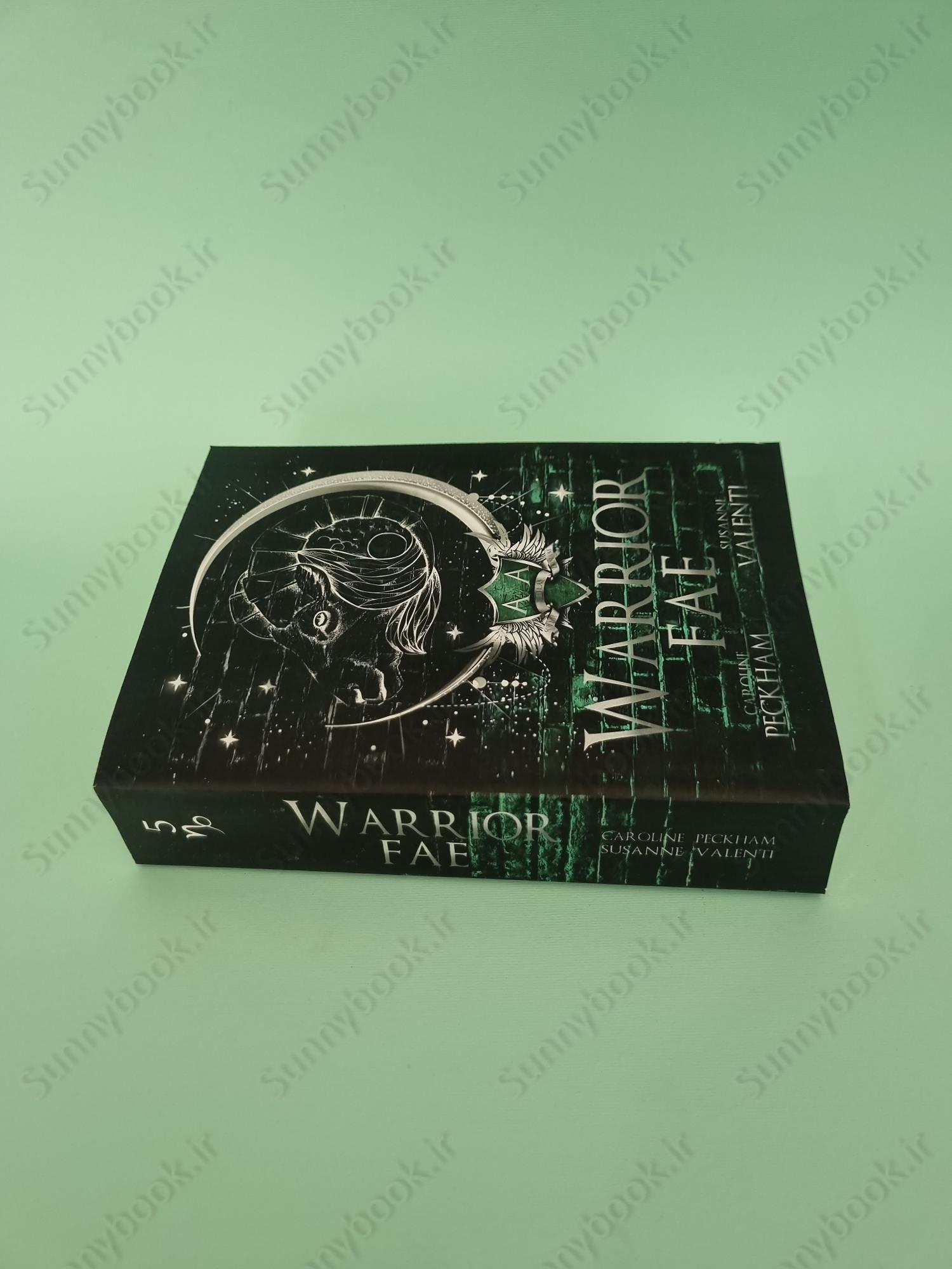 Warrior Fae (Ruthless Boys of the Zodiac 5) main 1 4