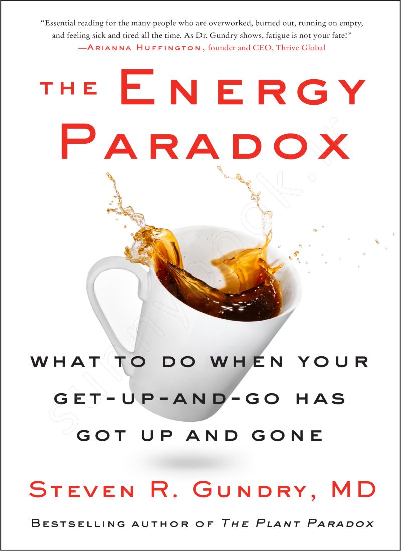 The Energy Paradox main 1 1