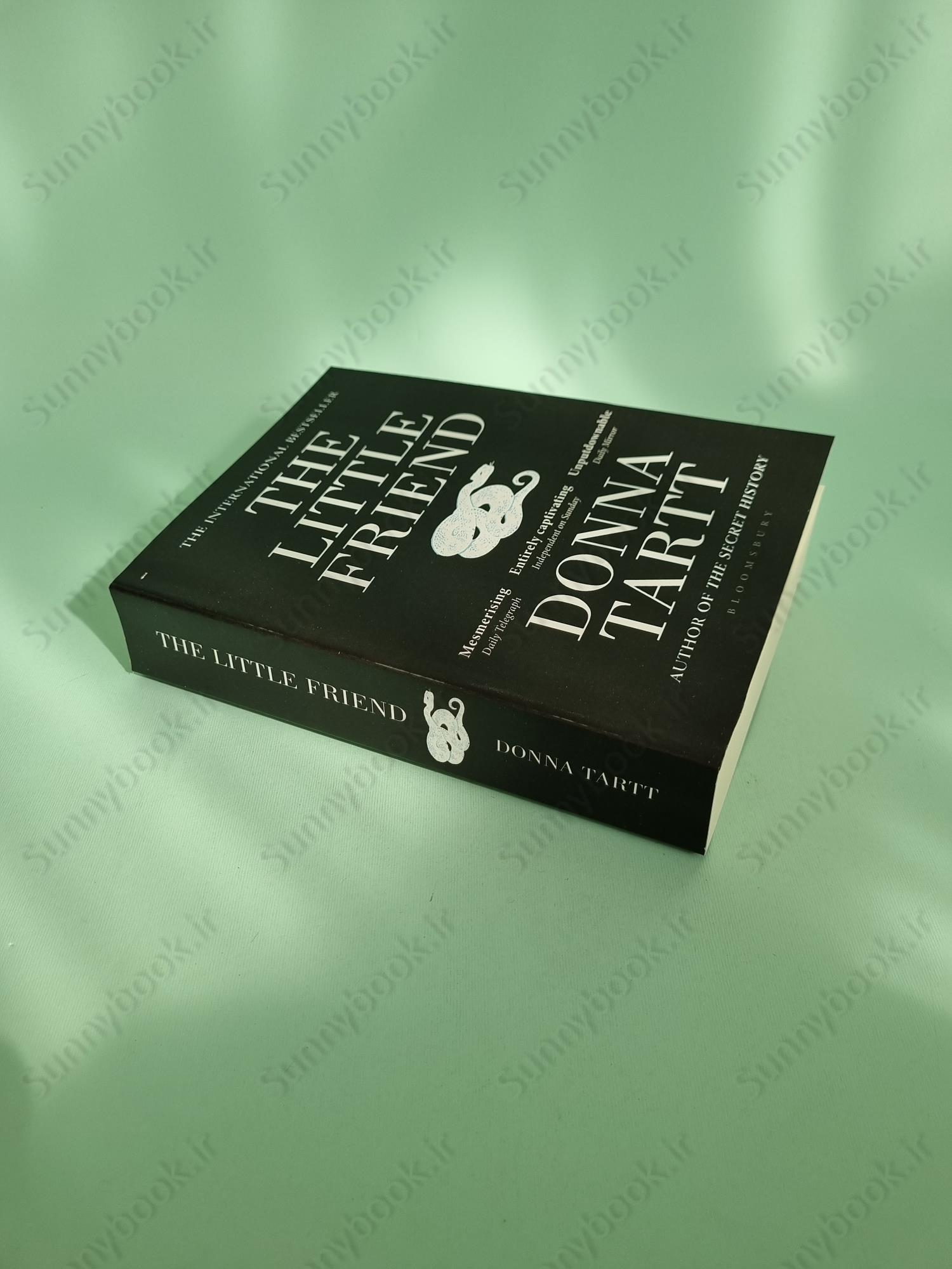 The Little Friend: Donna Tartt main 1 3