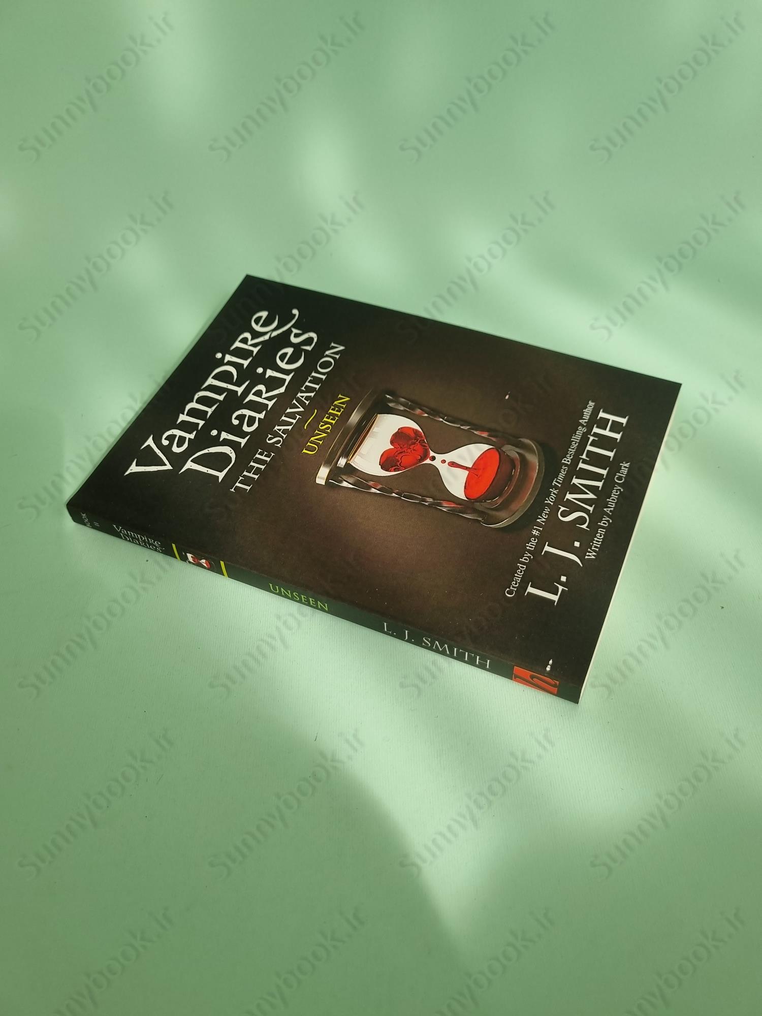 The Vampire Diaries: The Salvation: Unseen: Book 11 main 1 3