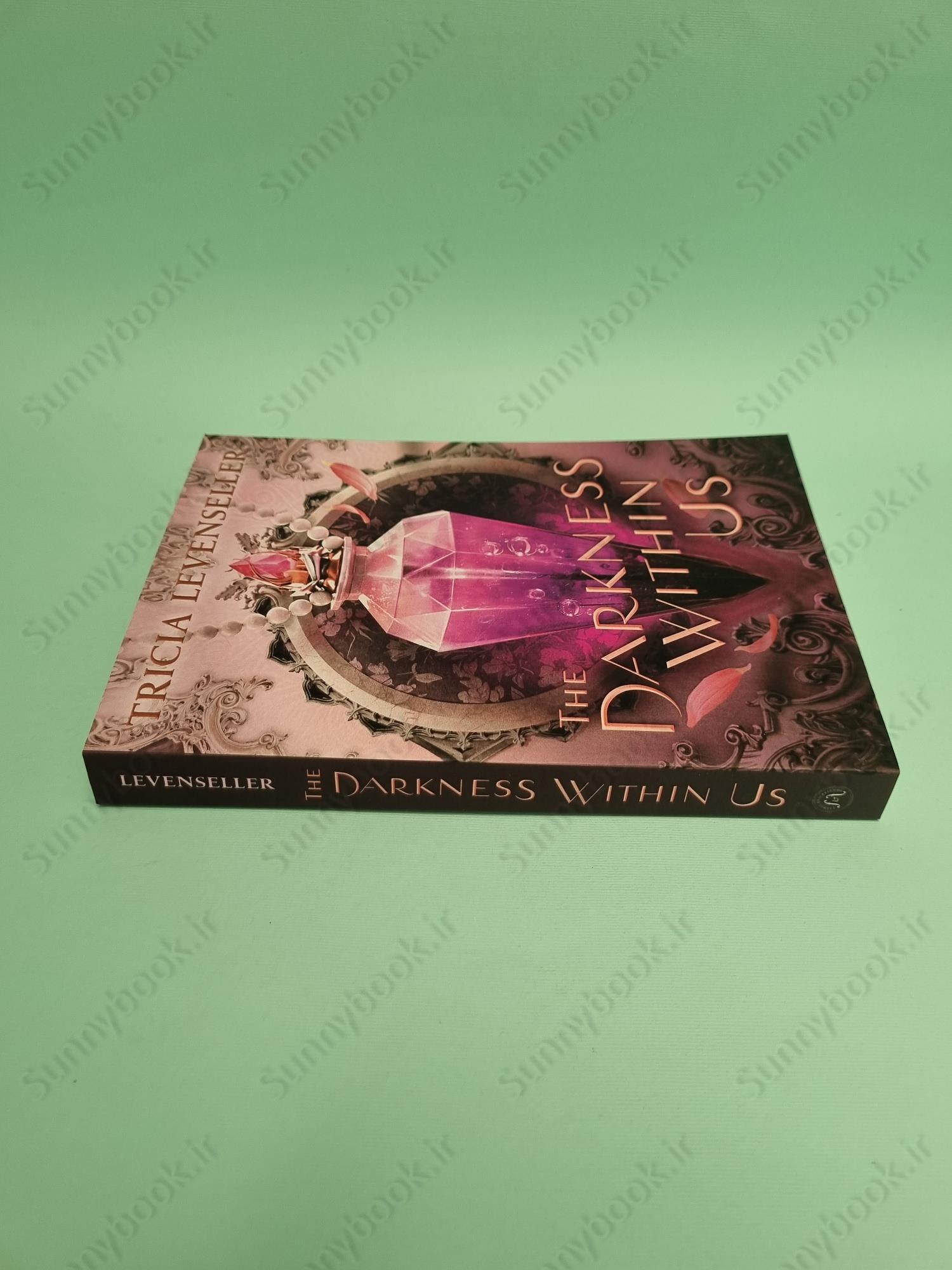 The Darkness Within Us (The Shadows Between Us Book2) main 1 5