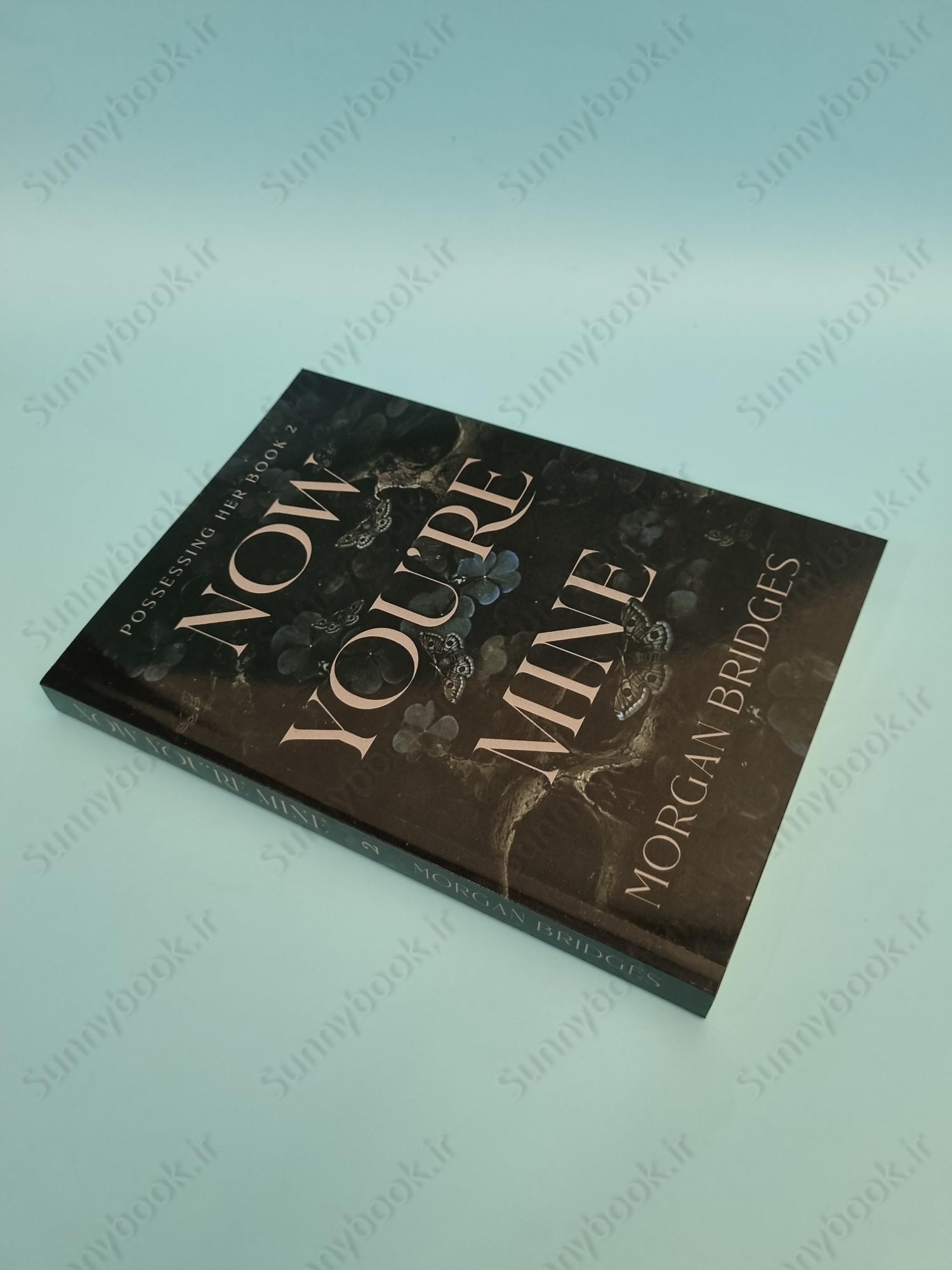 Now You're Mine Book 2 main 1 3