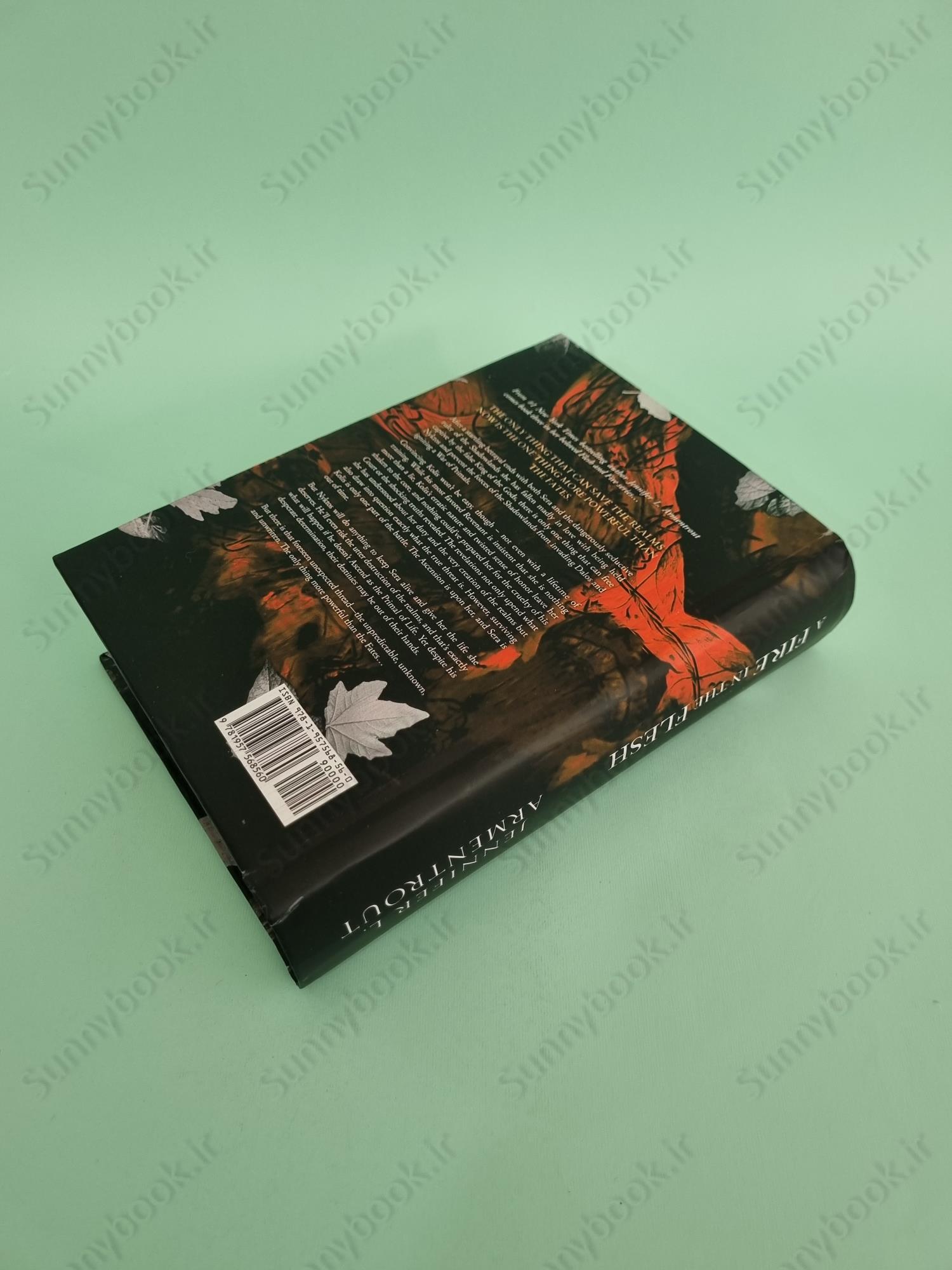 A Fire in the Flesh: A Flesh and Fire Novel (3) main 1 5