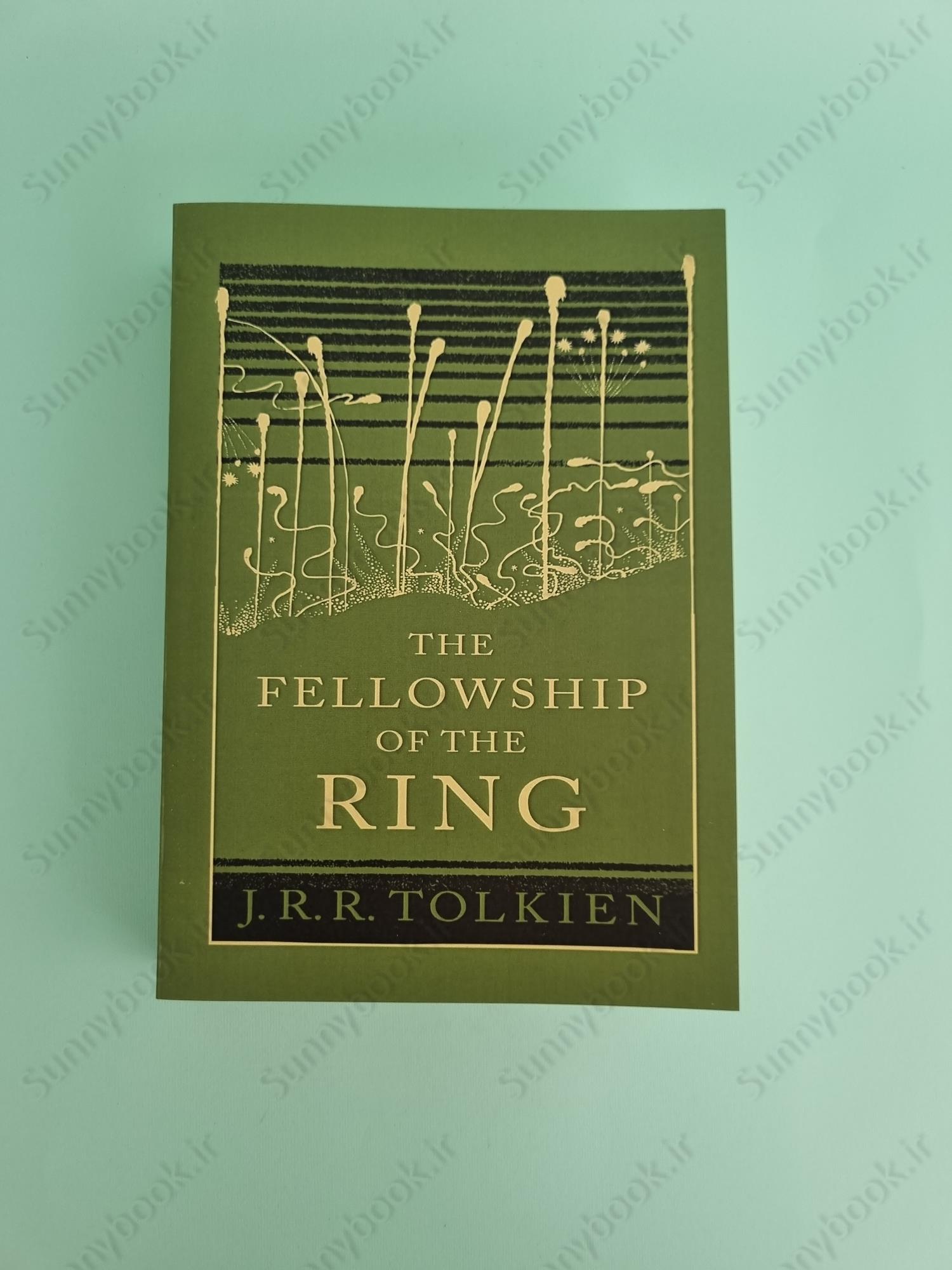 The Fellowship of the Ring main 1 2