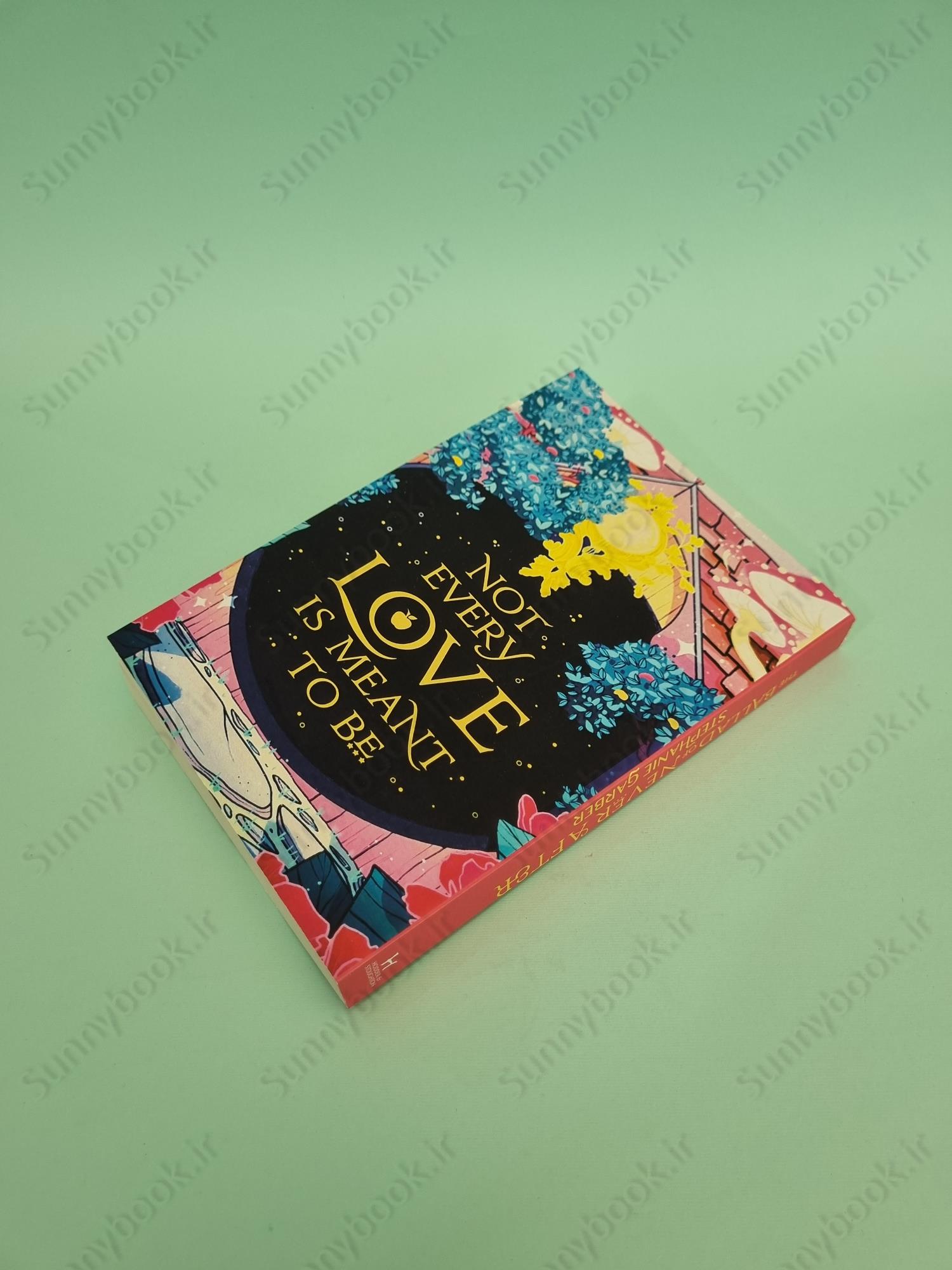 The Ballad of Never After (Once Upon a Broken Heart 2) main 1 6