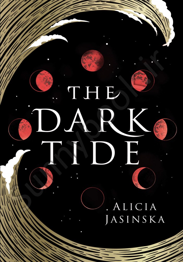 The Dark Tide Model.Title