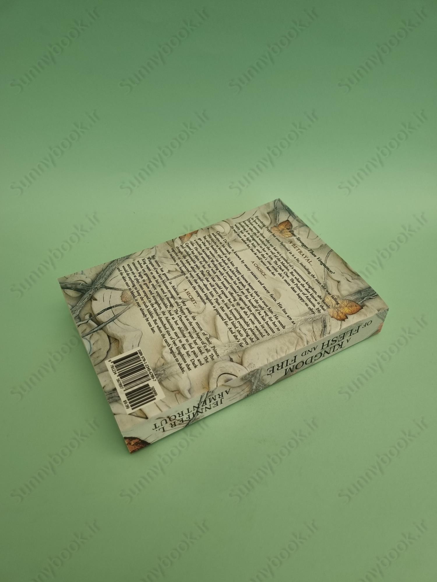 A Kingdom of Flesh and Fire (Blood and Ash 2) main 1 6