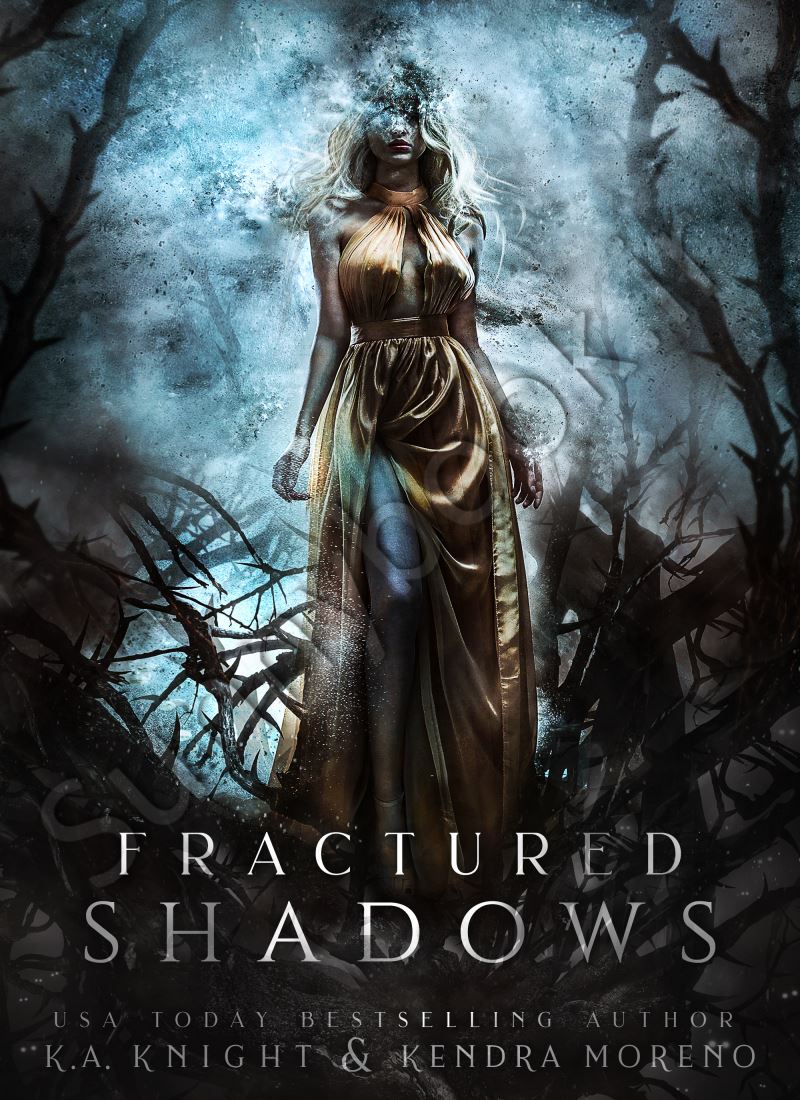 Fractured Shadows Model.Title