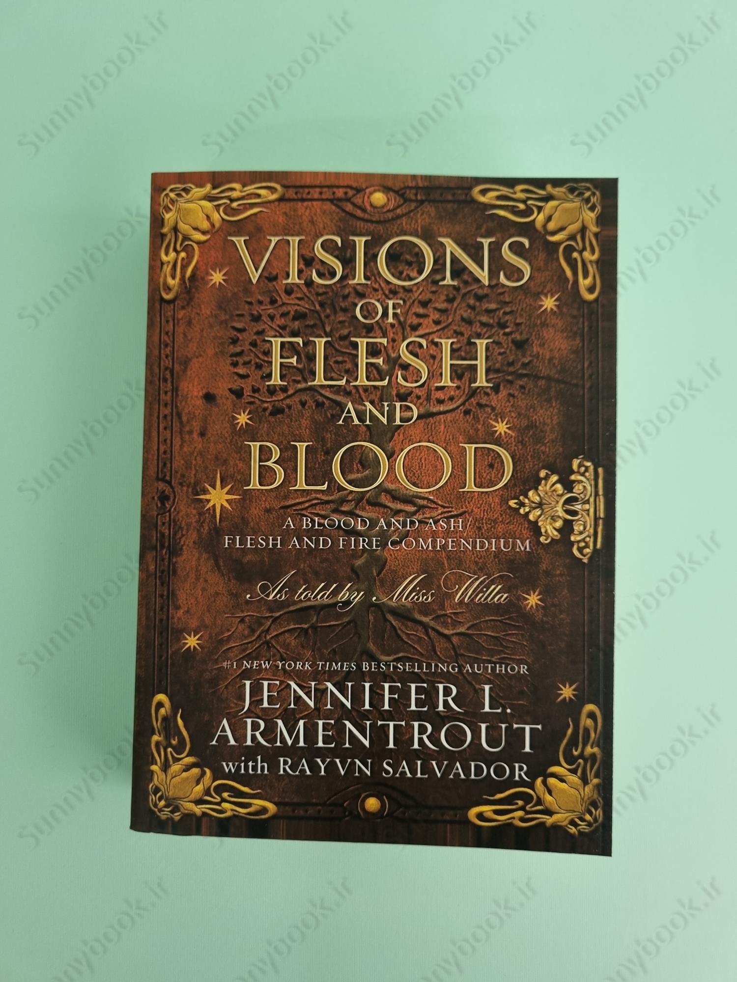 Visions of Flesh and Blood (Blood And Ash Book 5.5) main 1 2