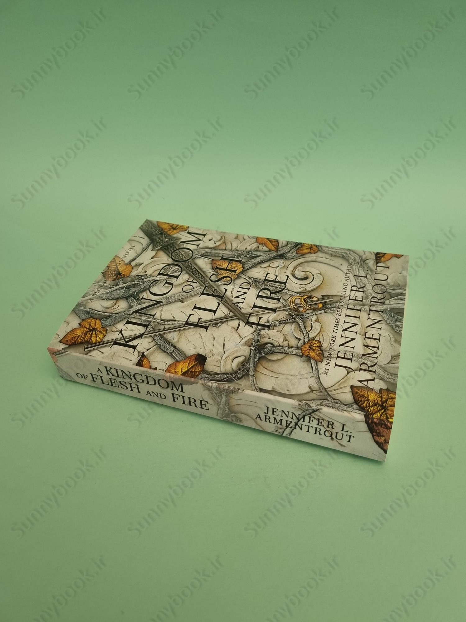 A Kingdom of Flesh and Fire (Blood and Ash 2) main 1 3