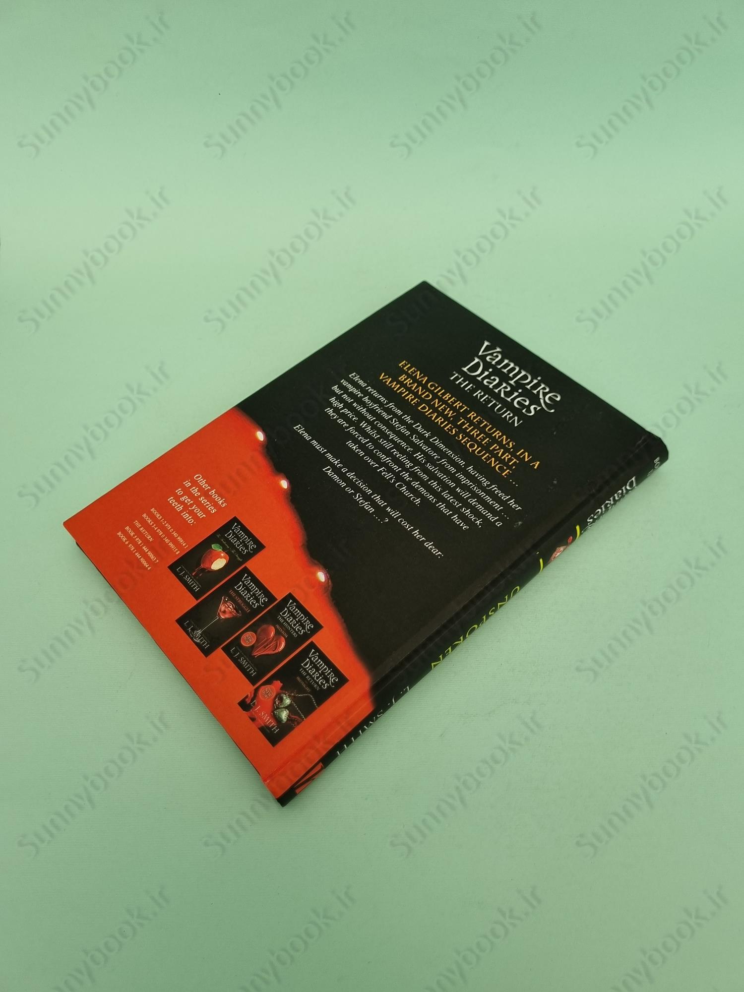 The Vampire Diaries: The Salvation: Unspoken: Book 12 main 1 4