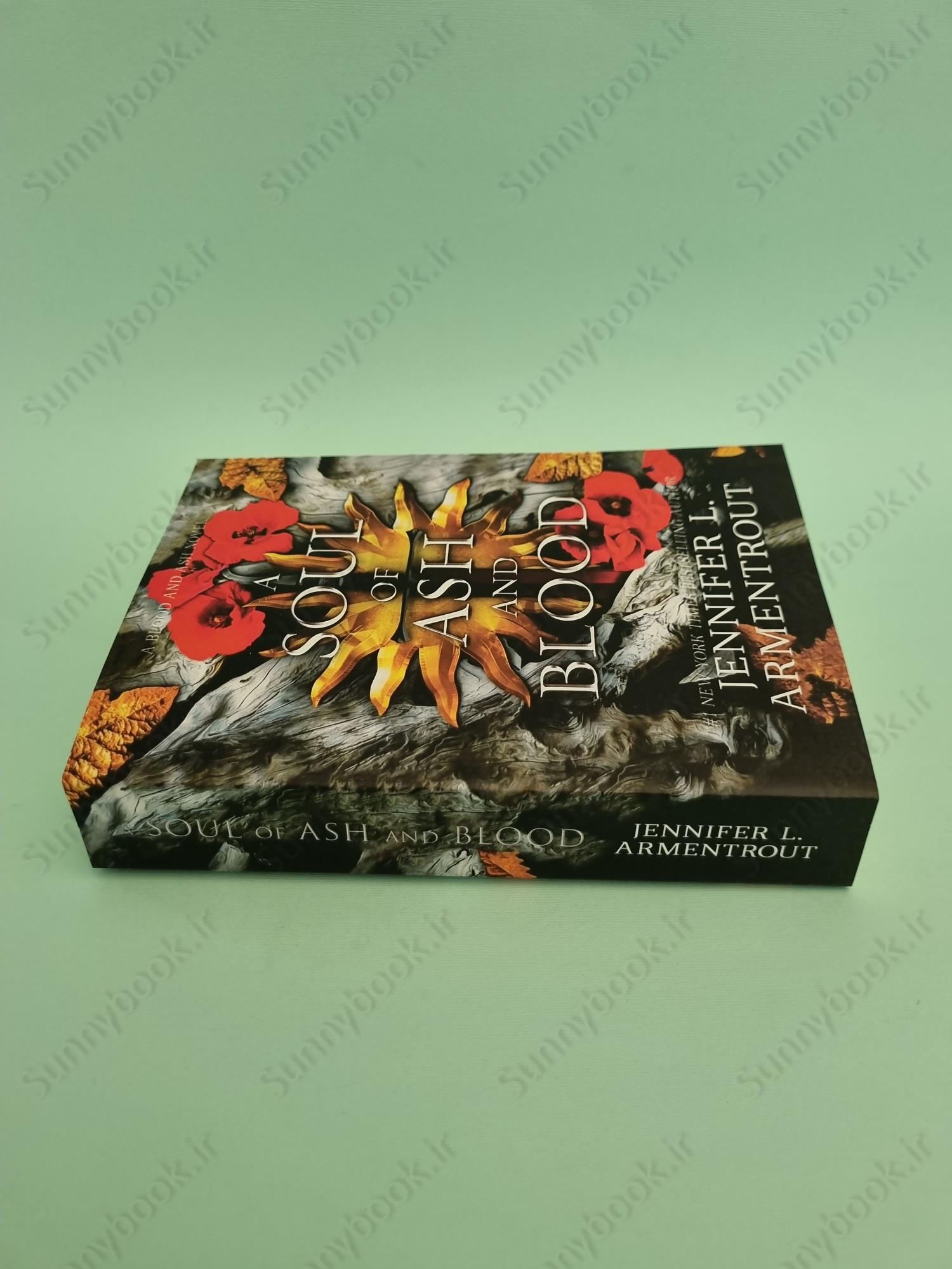 A Soul of Ash and Blood (Blood and Ash 5) main 1 6