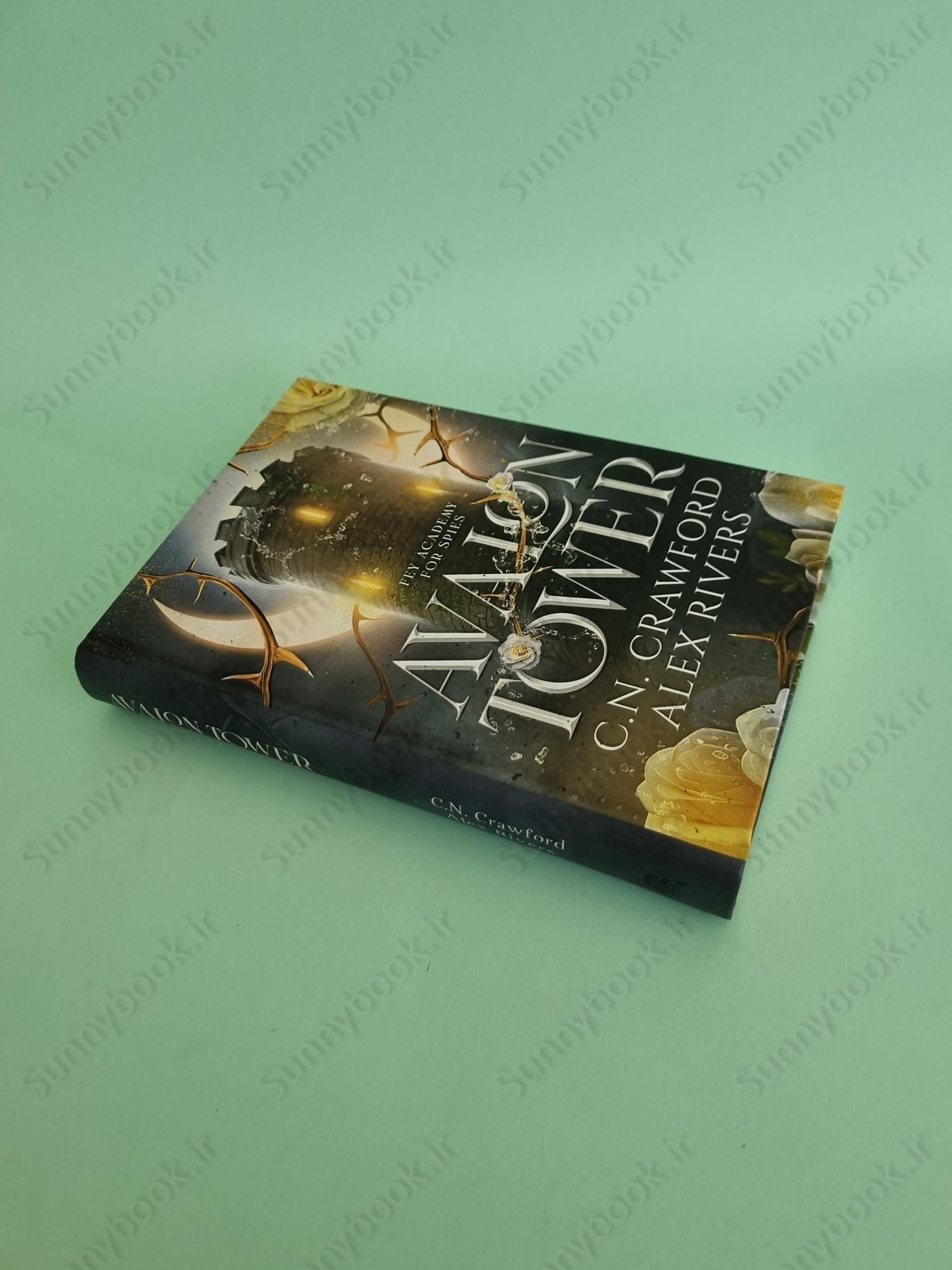 Avalon Tower (Fey Spy Academy Book 1) main 1 3