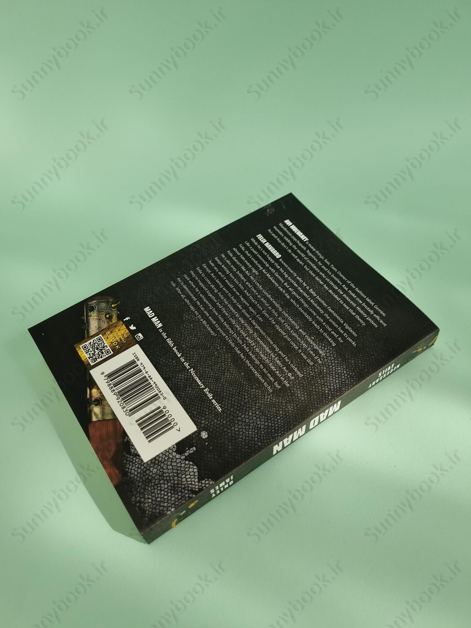 Mad Man (Necessary Evils 5) main 1 4