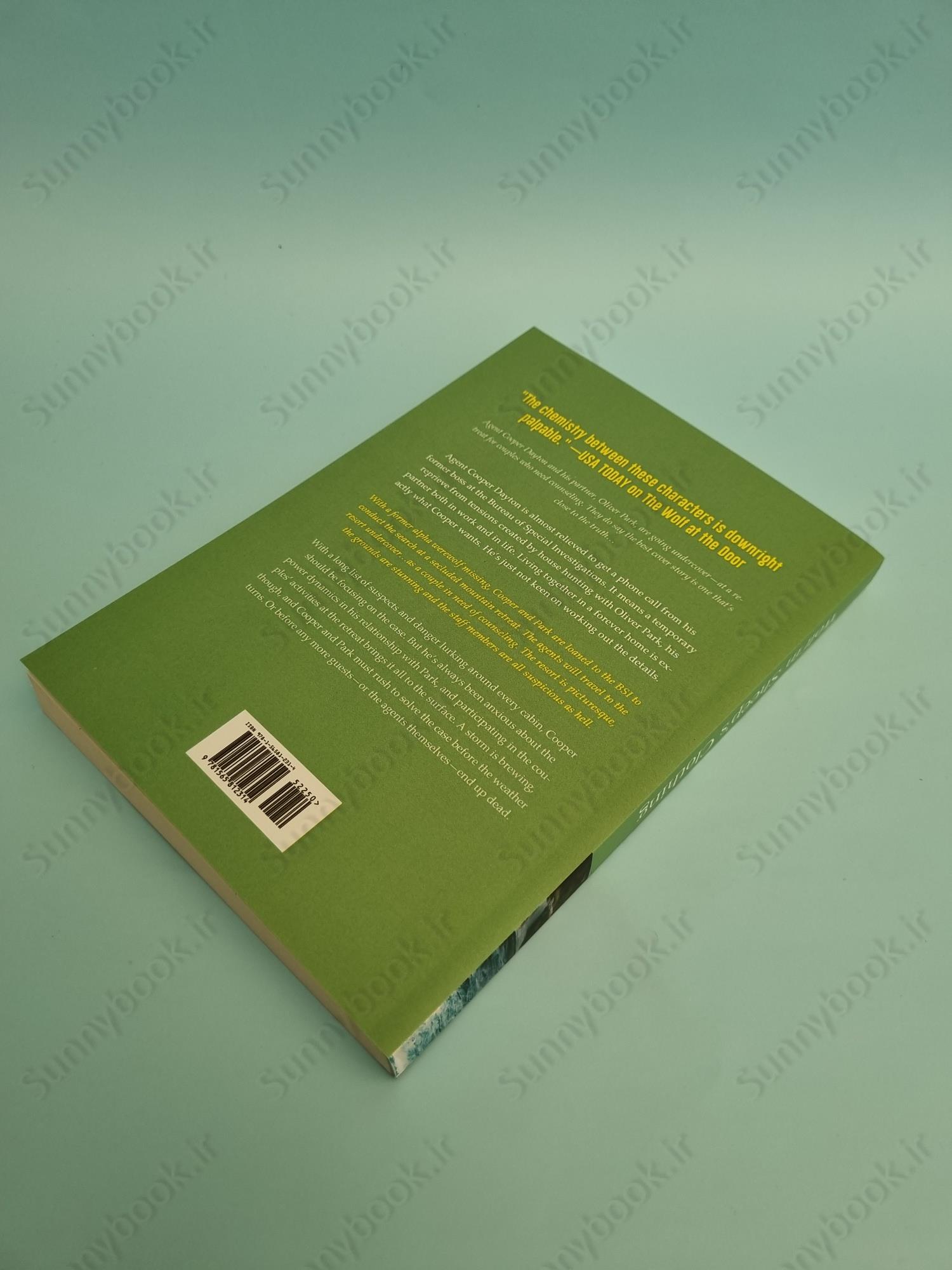 Wolf in Sheep's Clothing (Big Bad Wolf 4) main 1 4