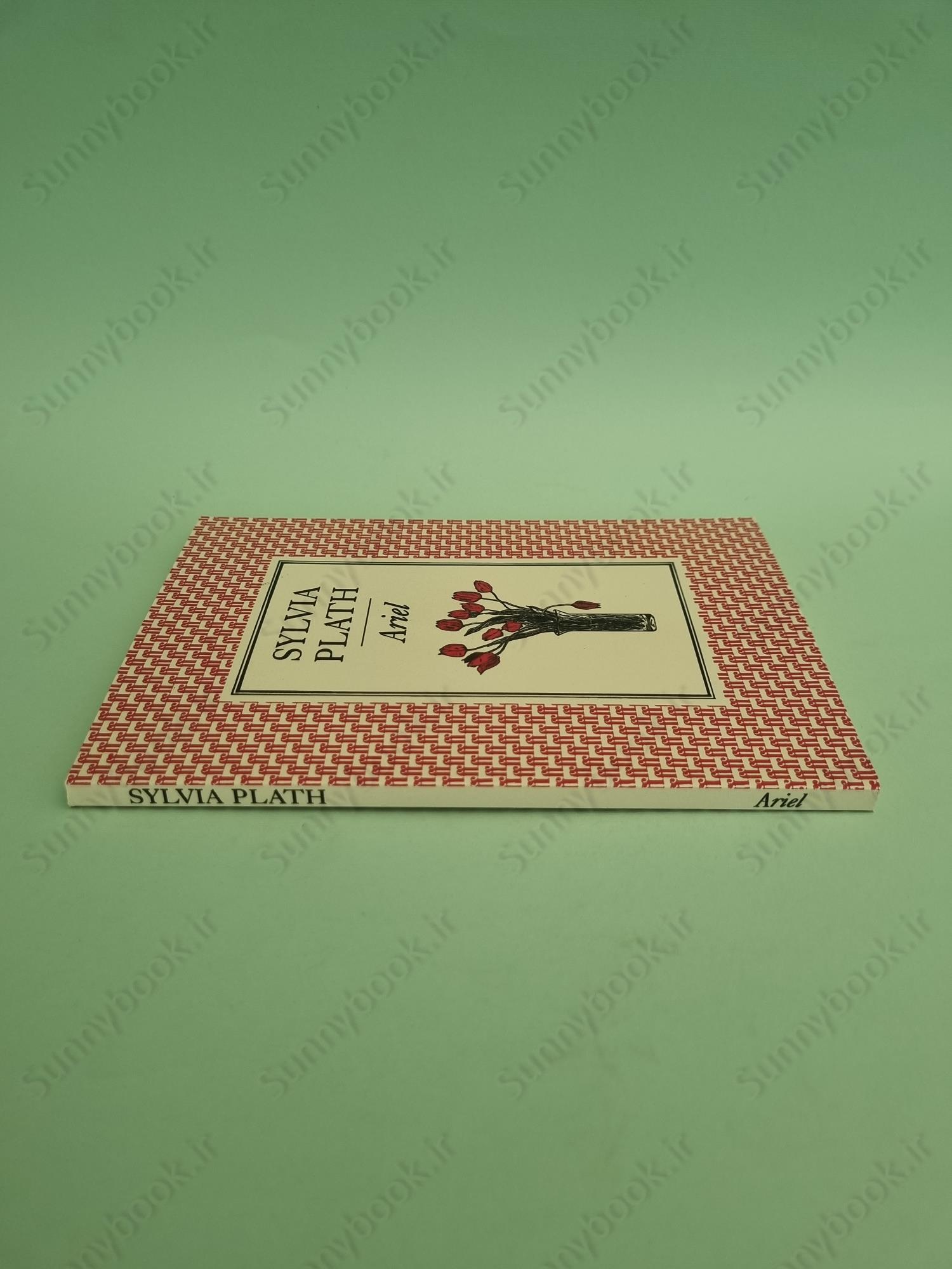 Ariel: Poems main 1 4