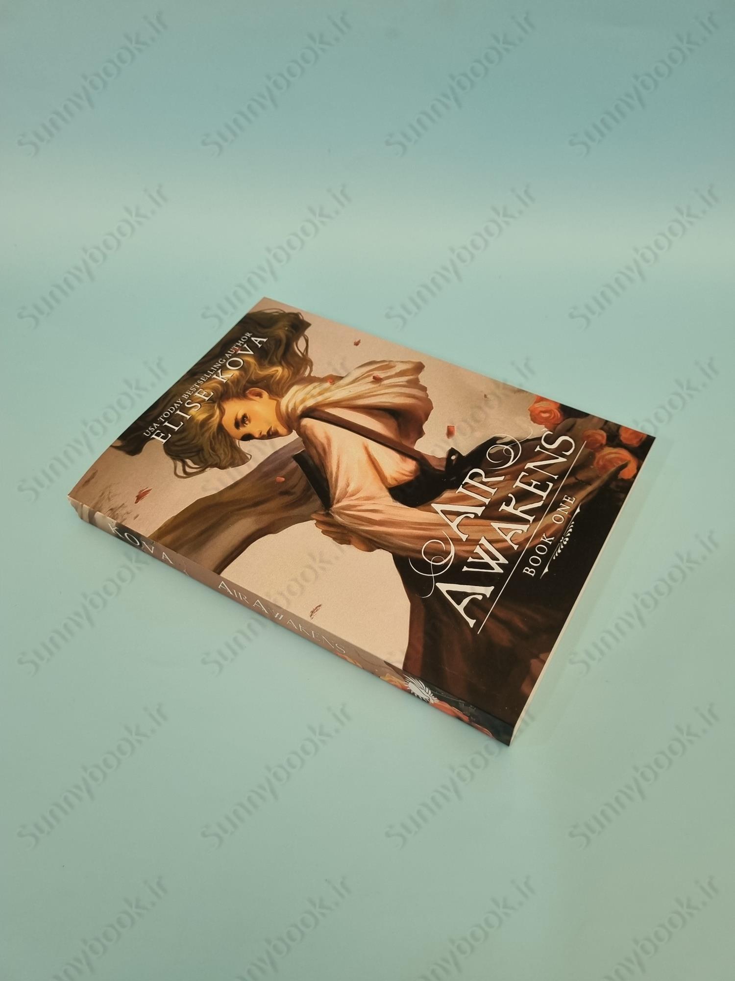 Air Awakens (Air Awakens Series Book 1) main 1 3