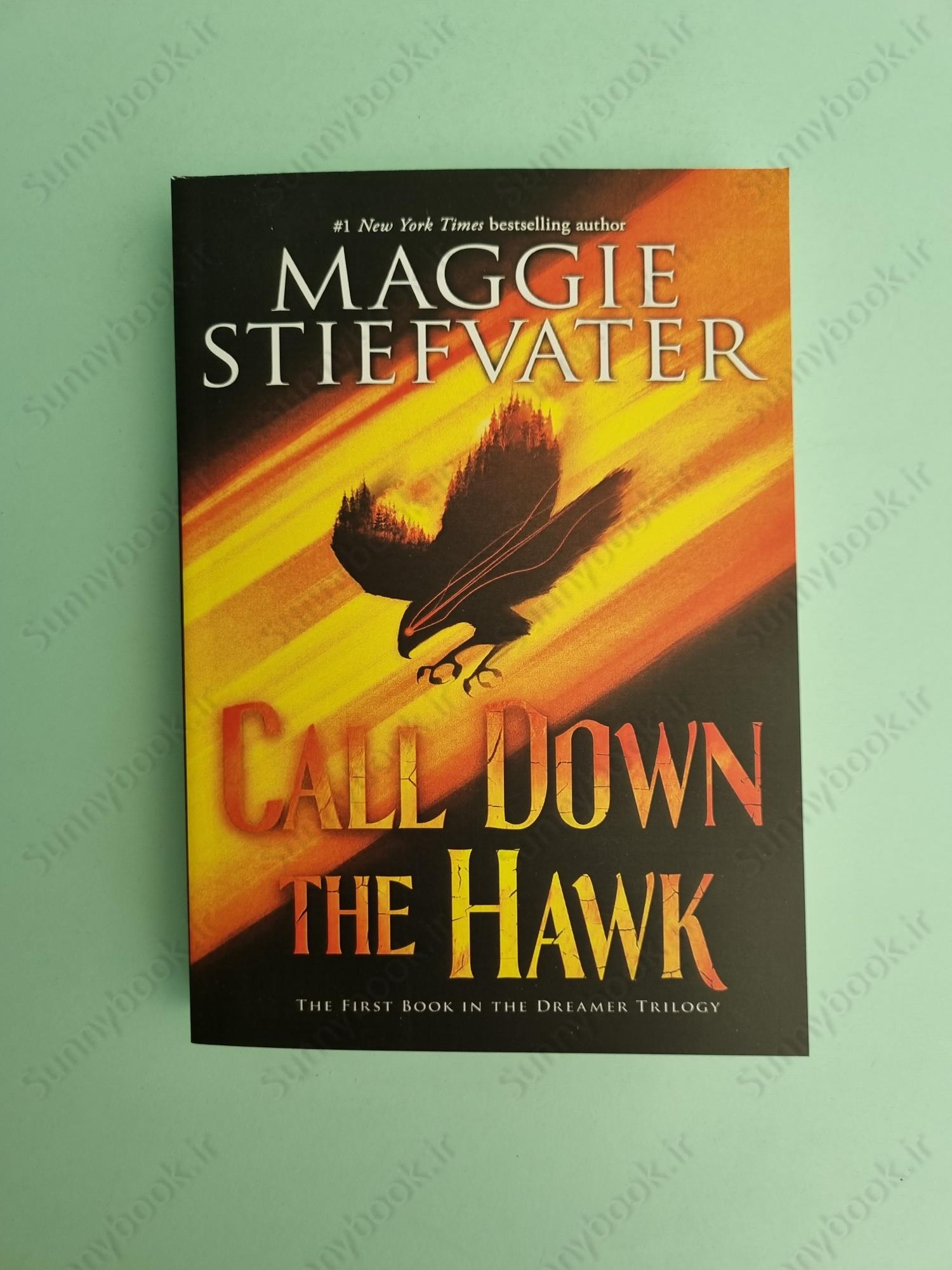 Call Down the Hawk (Dreamer 1) main 1 2