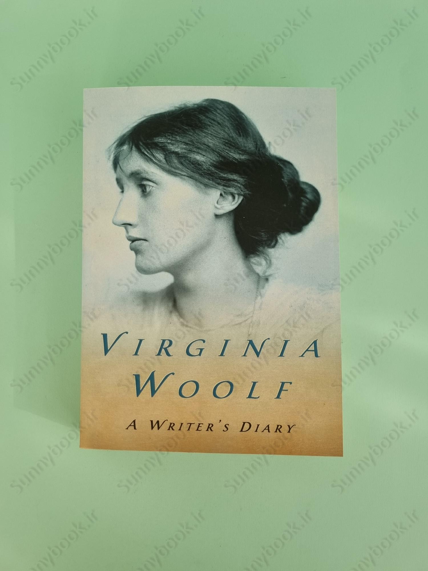 A Writer's Diary main 1 2