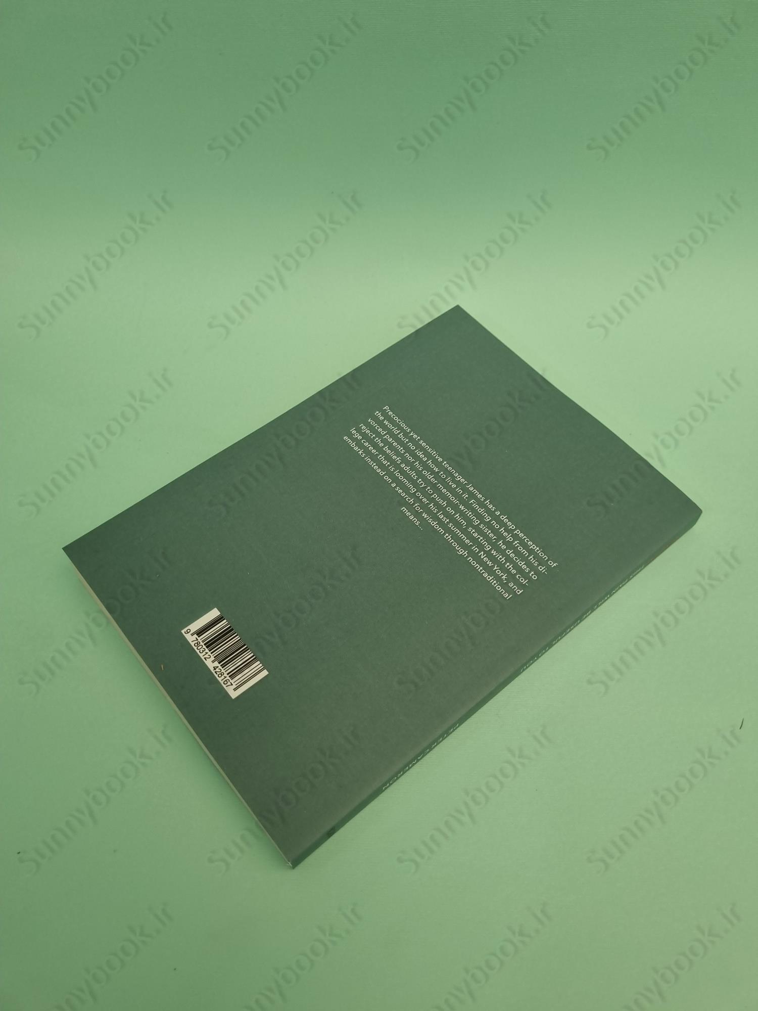 Someday This Pain Will Be Useful to You main 1 5