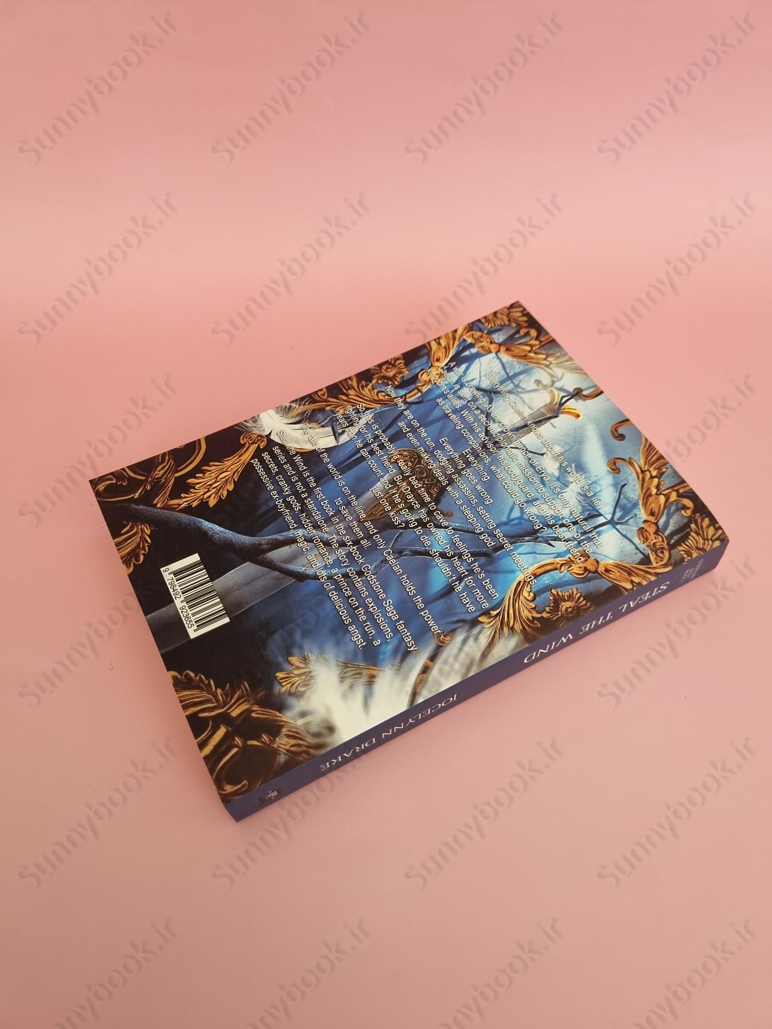 Steal the Wind (Godstone Saga 1) main 1 4