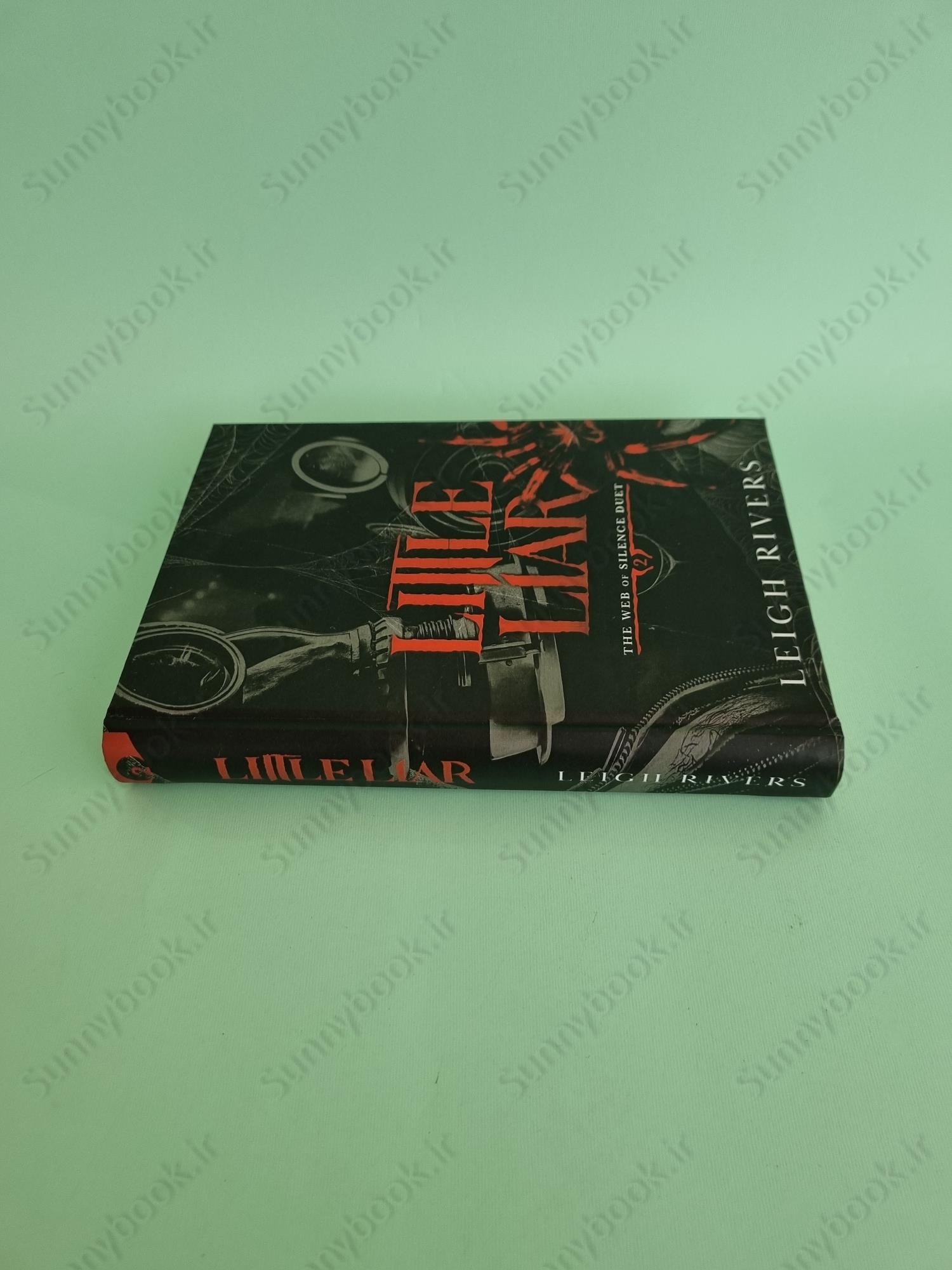 Little Liar (The Web of Silence Duet 2) main 1 4