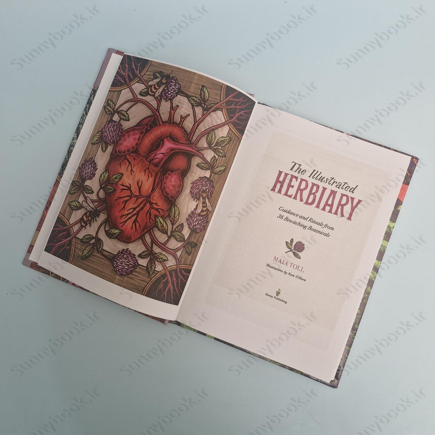 The Illustrated Herbiary main 1 6