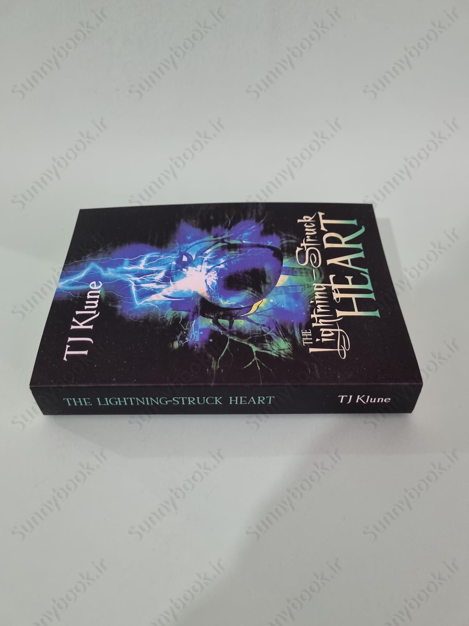 The Lightning-Struck Heart (Tales From Verania 1) main 1 4