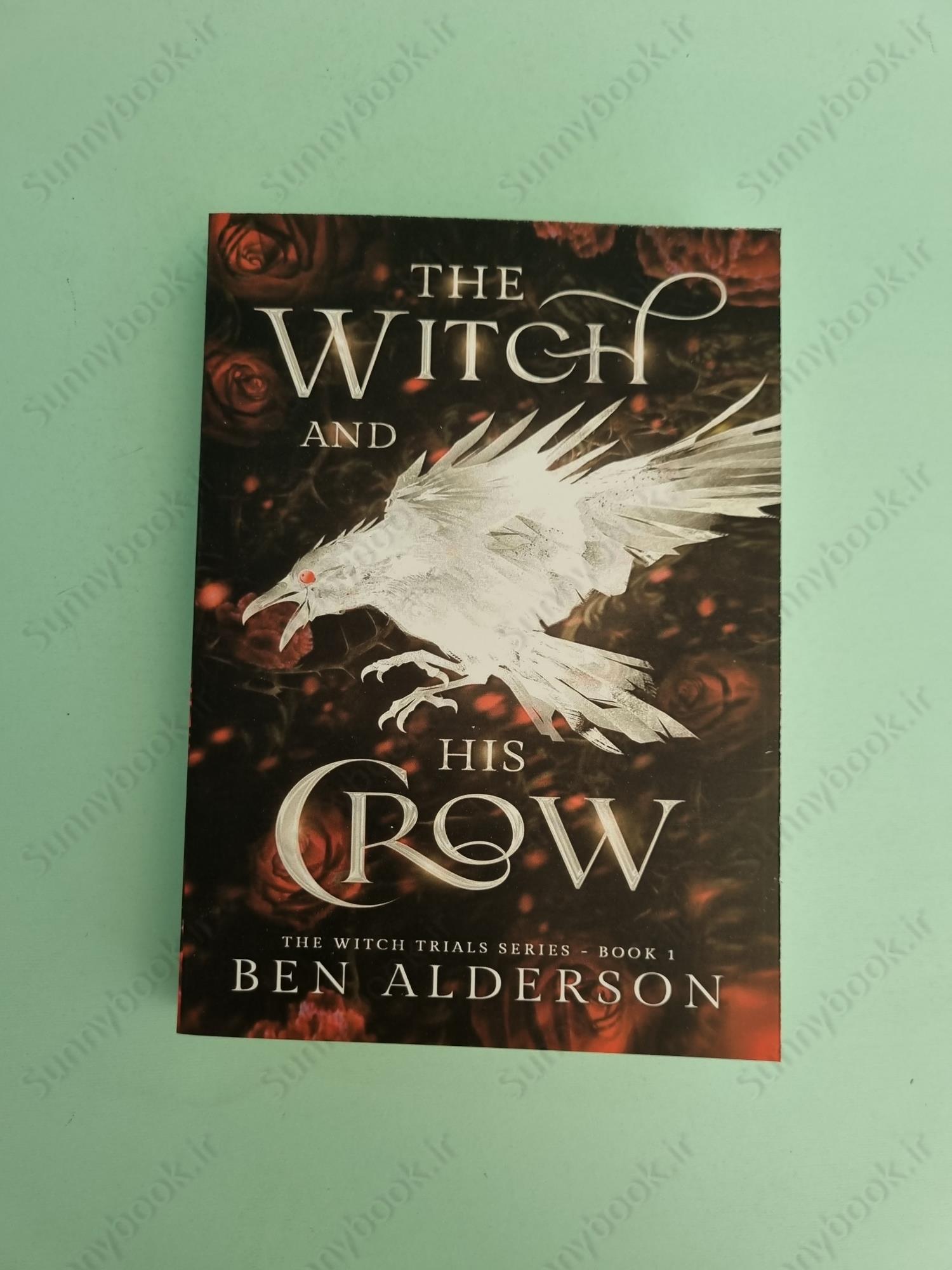 The Witch and His Crow main 1 2