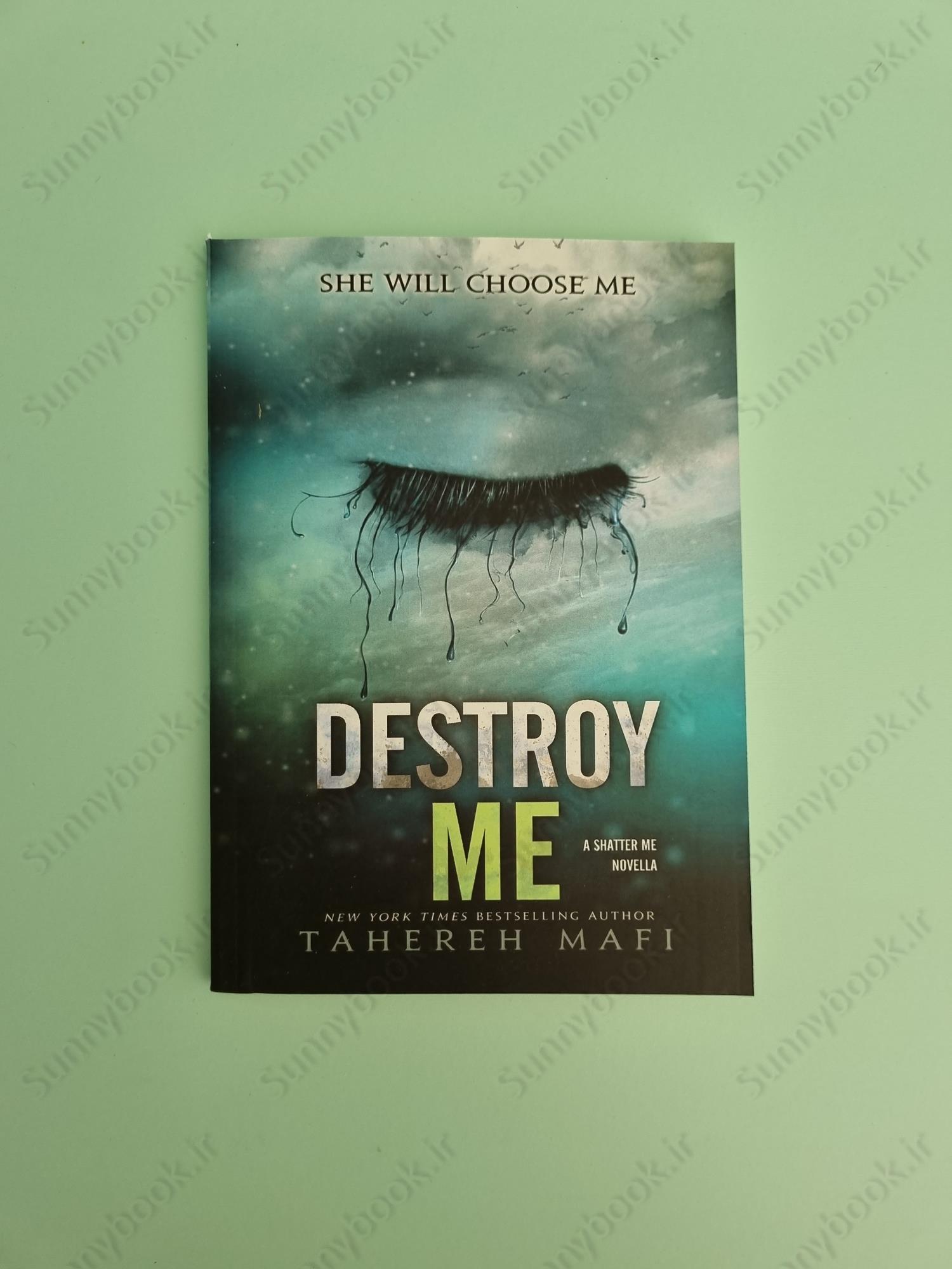 Destroy Me (Shatter Me 1.5) main 1 2