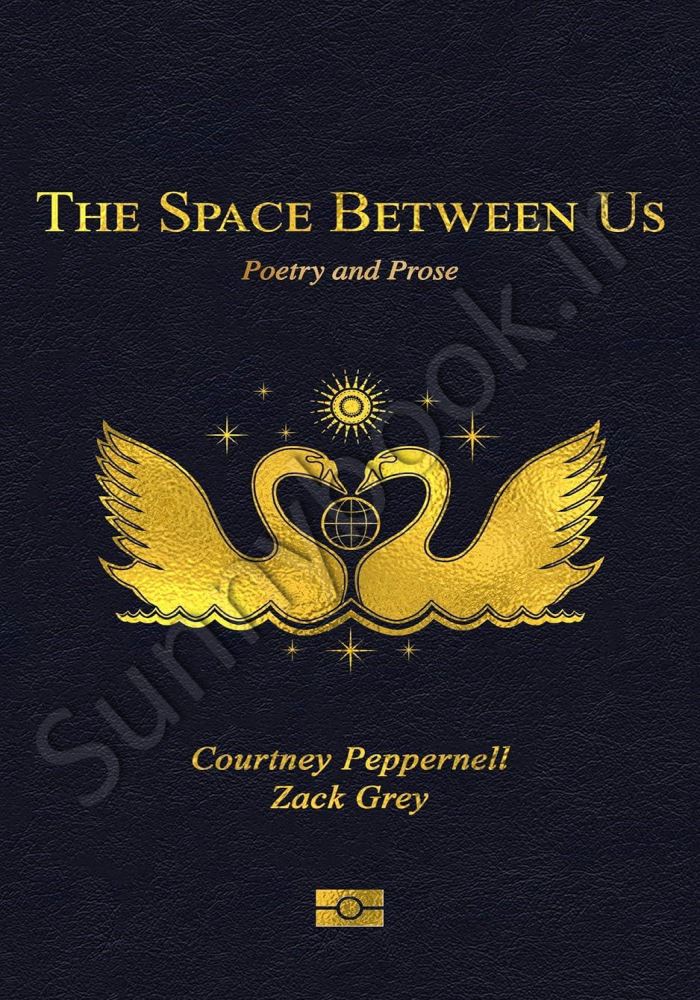 The Space Between Us: Poetry Model.Title