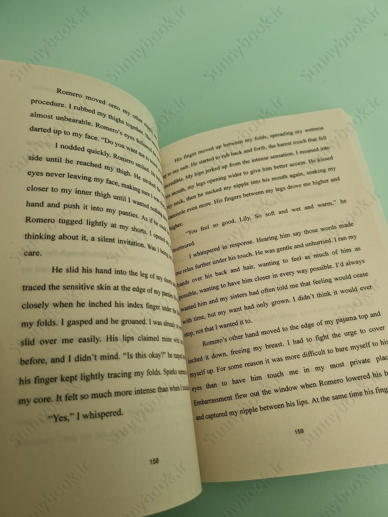 Bound by Temptation (Born in Blood Mafia 4) main 1 6