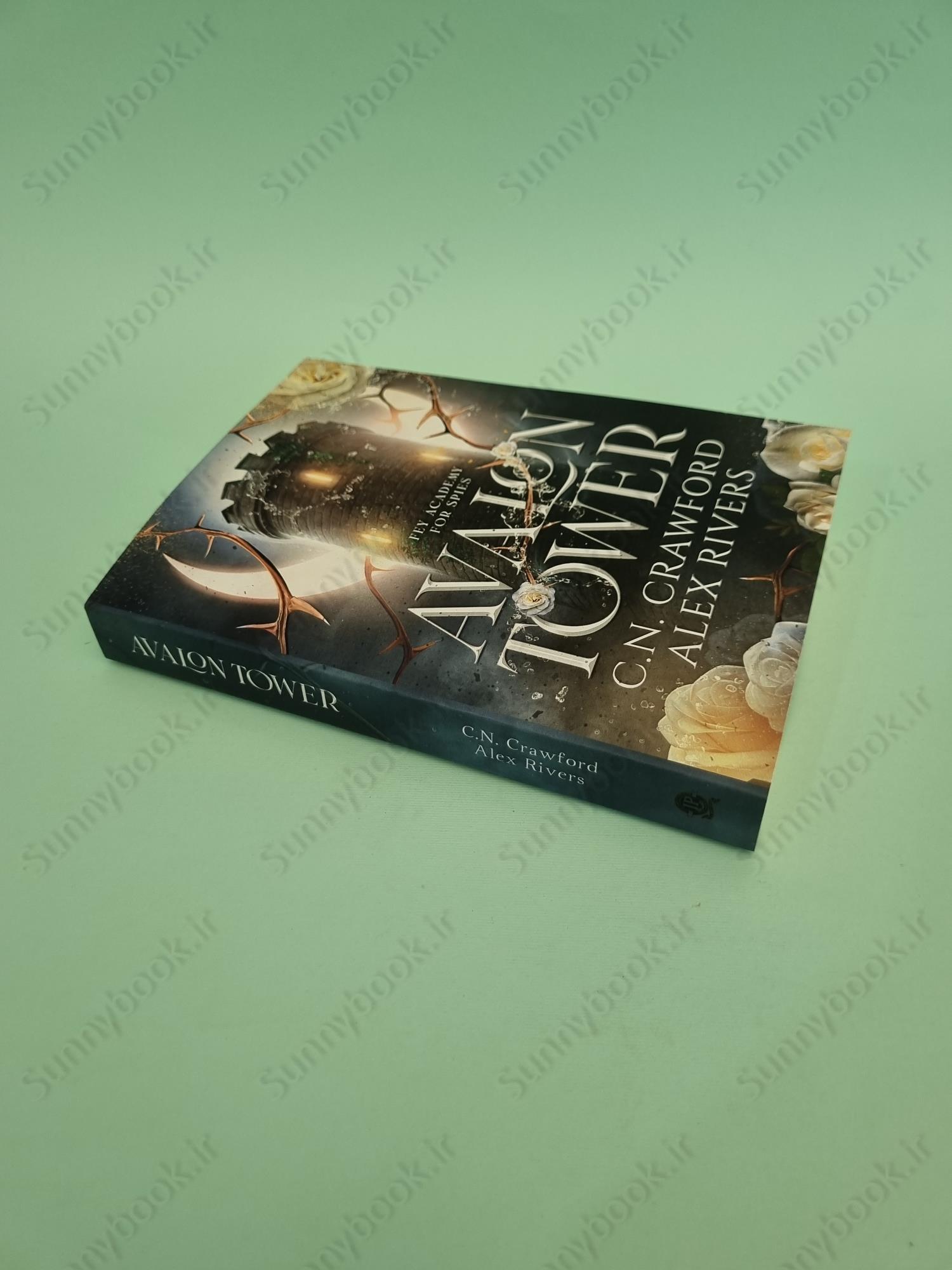 Avalon Tower (Fey Spy Academy Book 1) main 1 3