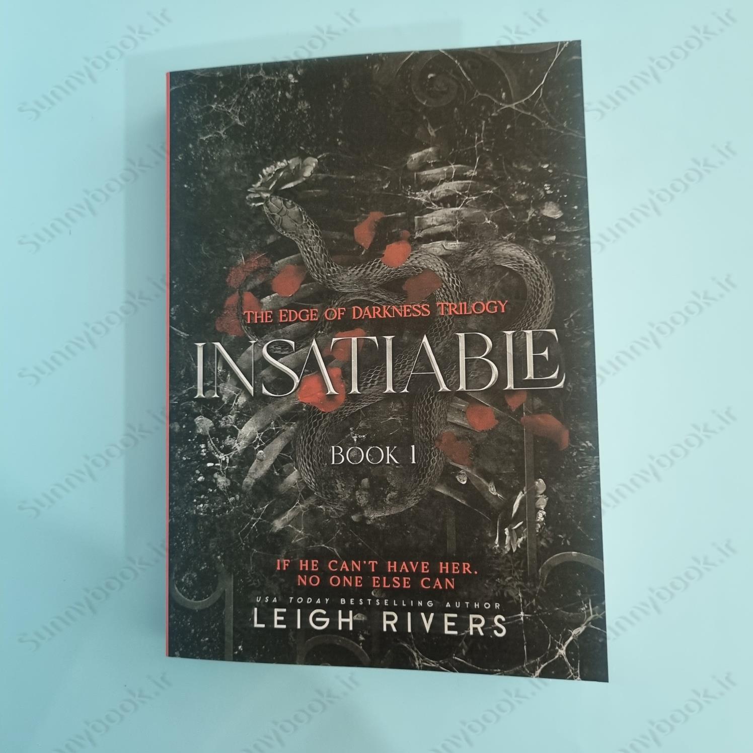 Insatiable (The Edge of Darkness 1) main 1 5