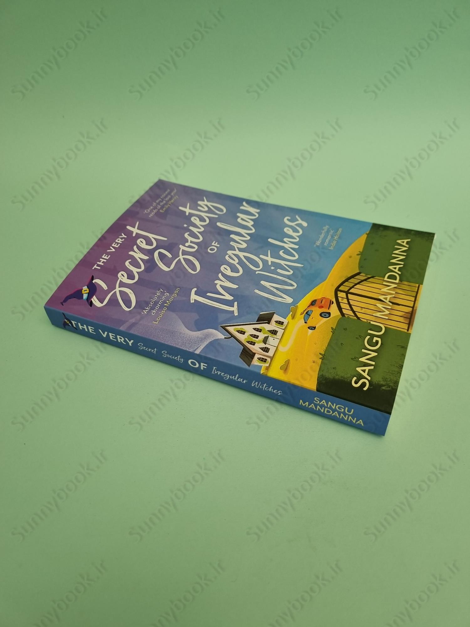 The Very Secret Society of Irregular Witches main 1 3