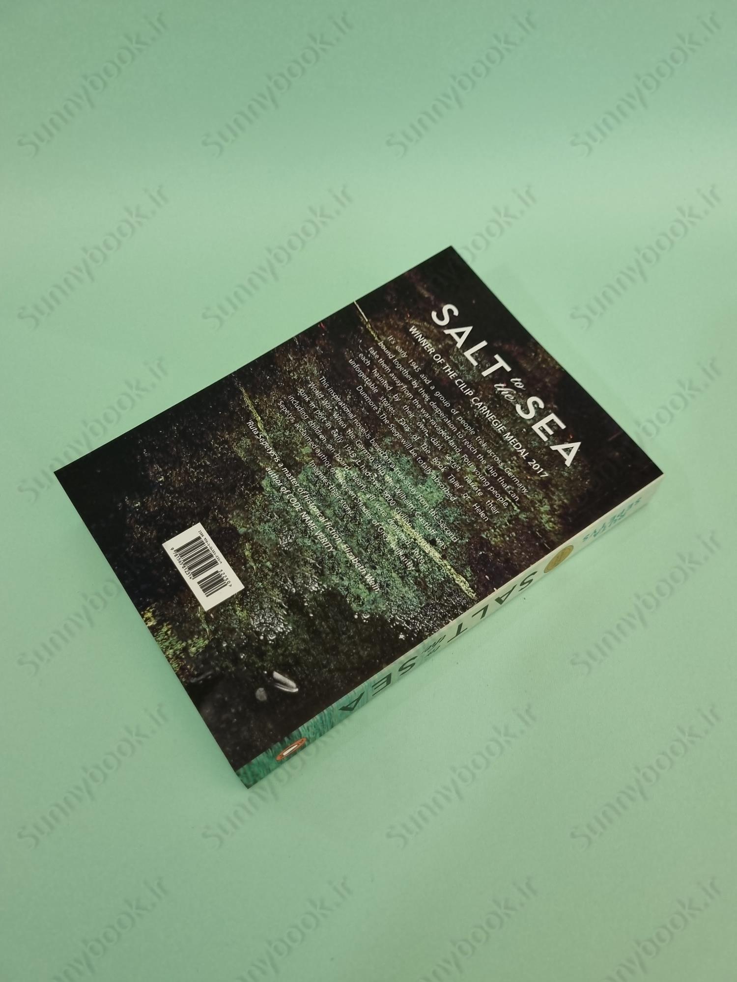 Salt to the Sea main 1 4