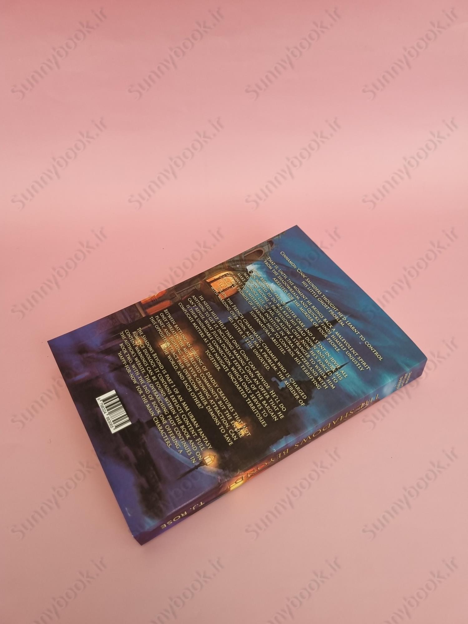 The Shadows Beyond (Shadow and Light Duology 1) main 1 4