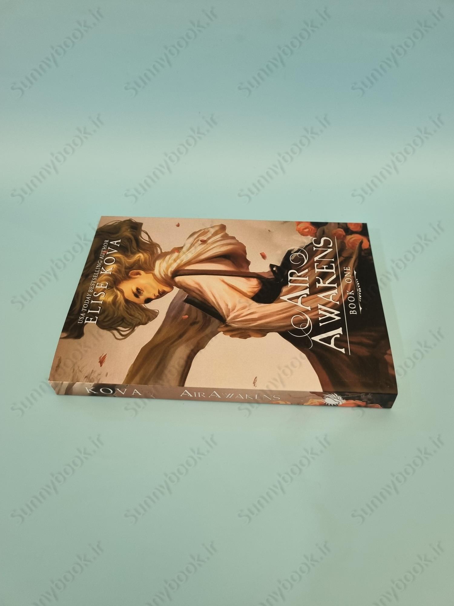 Air Awakens (Air Awakens Series Book 1) main 1 4