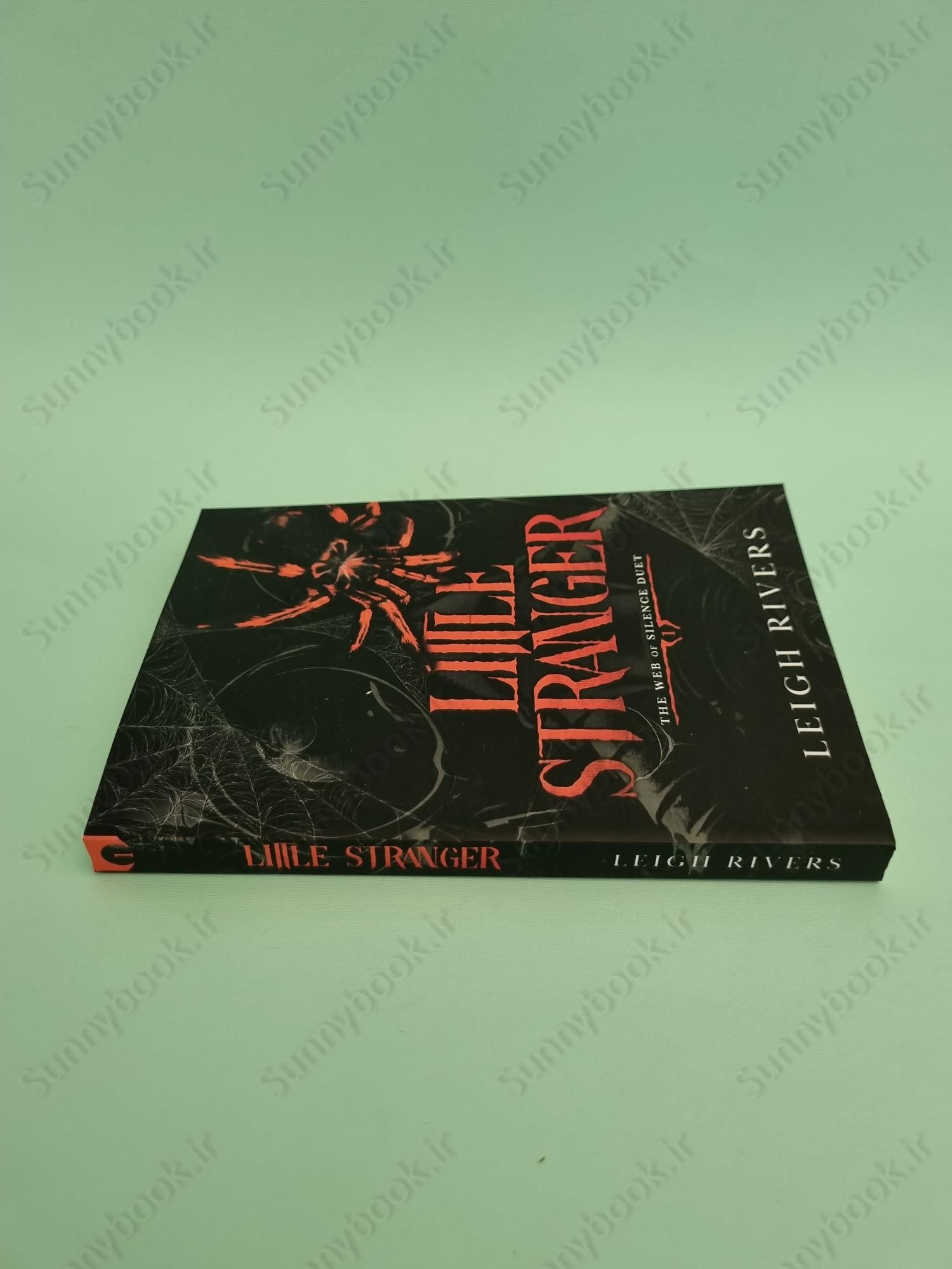 Little Stranger (The Web of Silence Duet 1) main 1 5