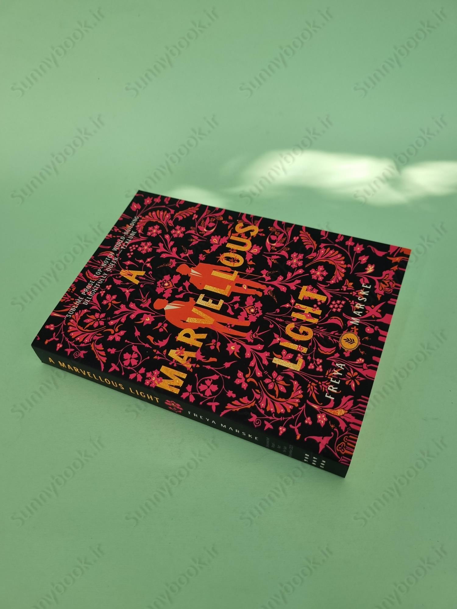 A Marvellous Light (The Last Binding 1) main 1 3