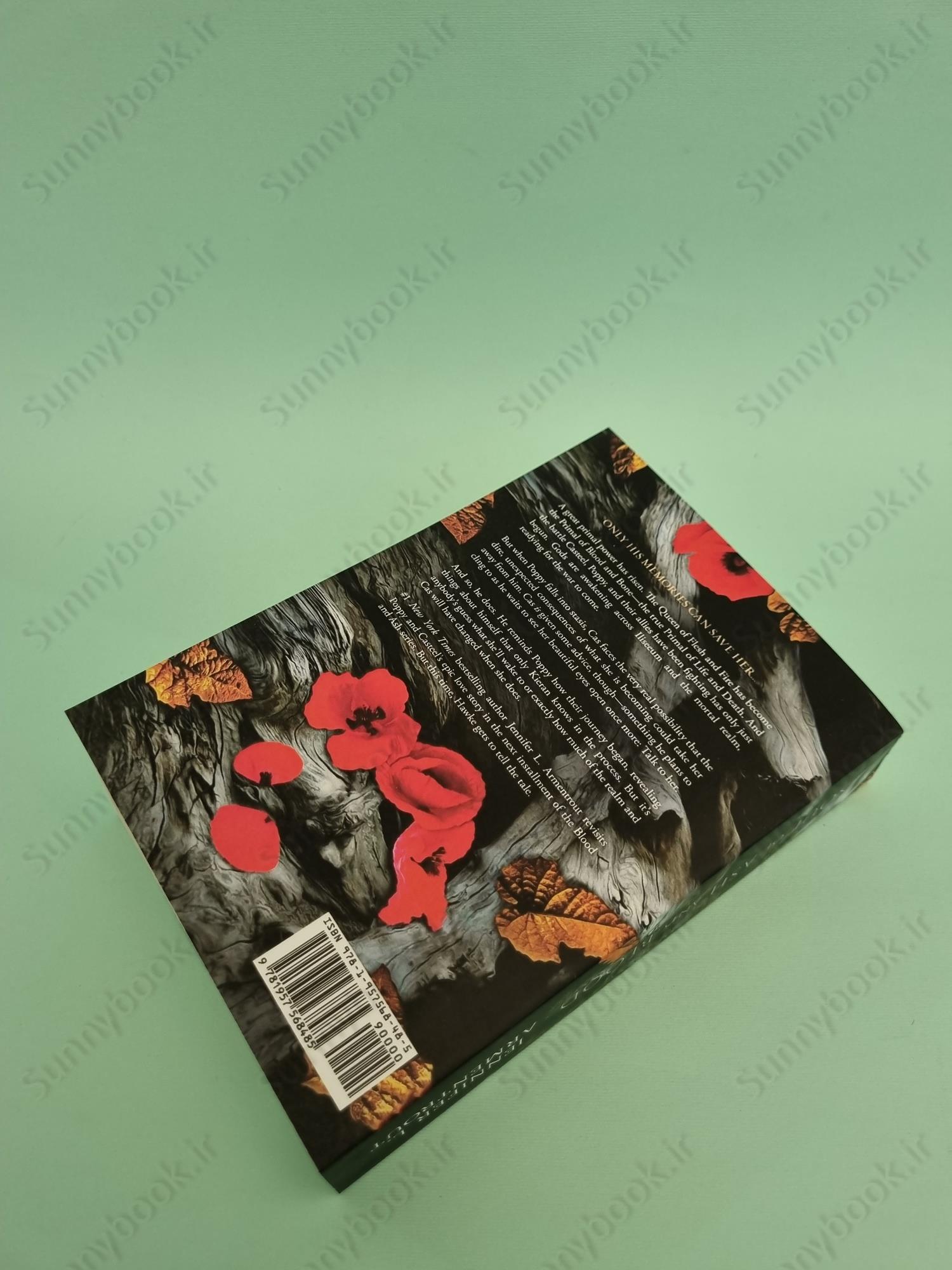 A Soul of Ash and Blood (Blood and Ash 5) main 1 5