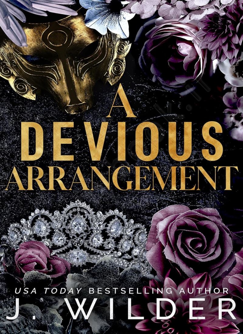 A Devious Arrangement (Twisted Vows 3) main 1 1