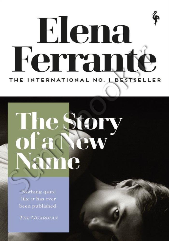 The Story of a New Name : My Brilliant Friend Book 2 Model.Title