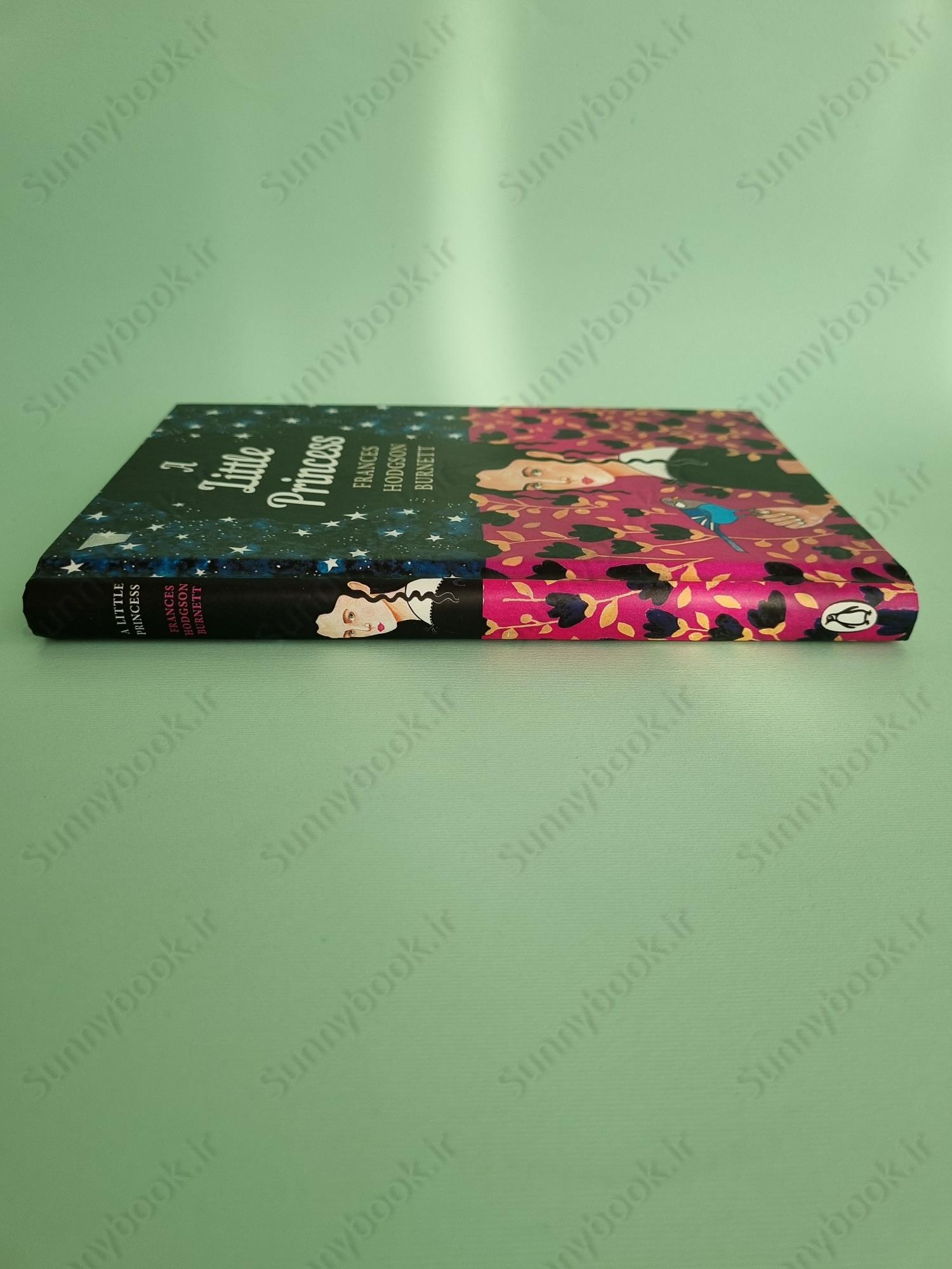 A Little Princess (The Sisterhood) main 1 4