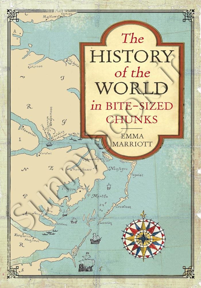 The History of the World in Bite-Sized Chunks Model.Title