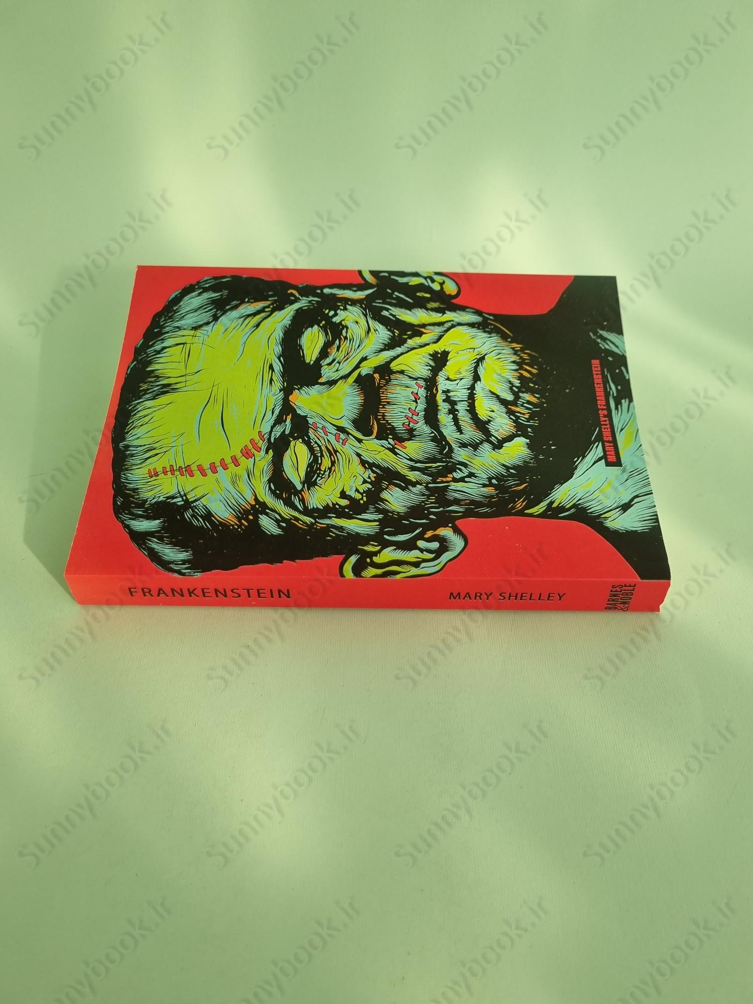 Frankenstein main 1 4